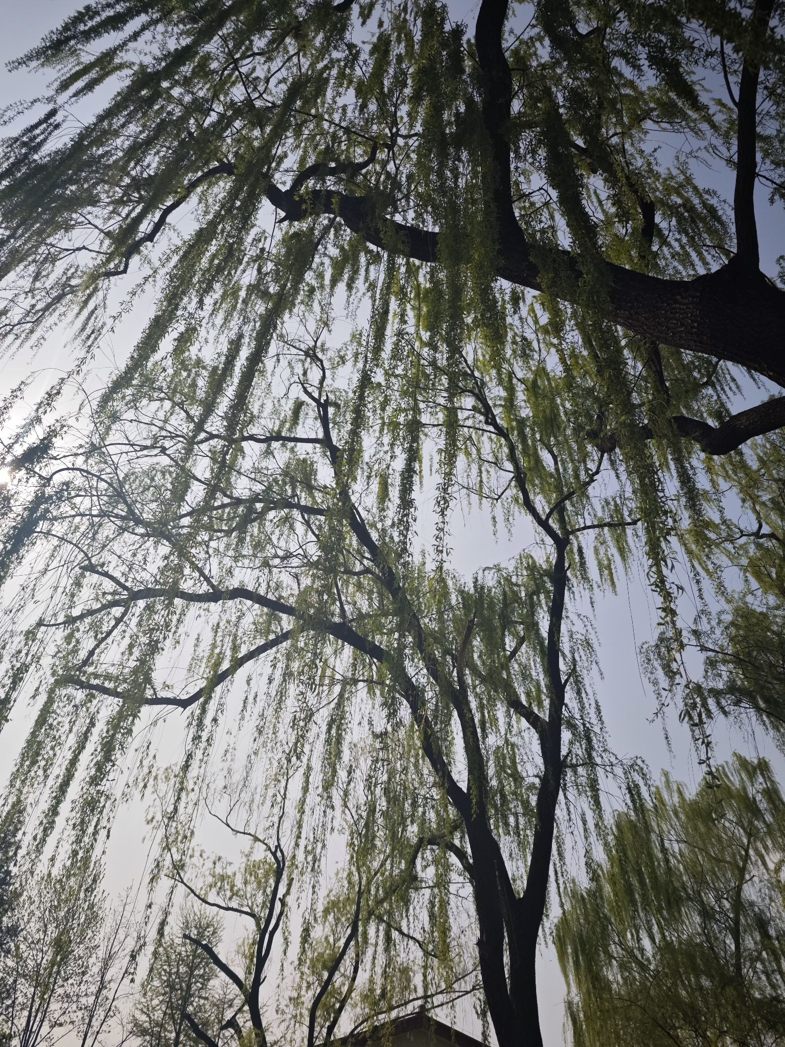 玲珑公园旅行图片 2