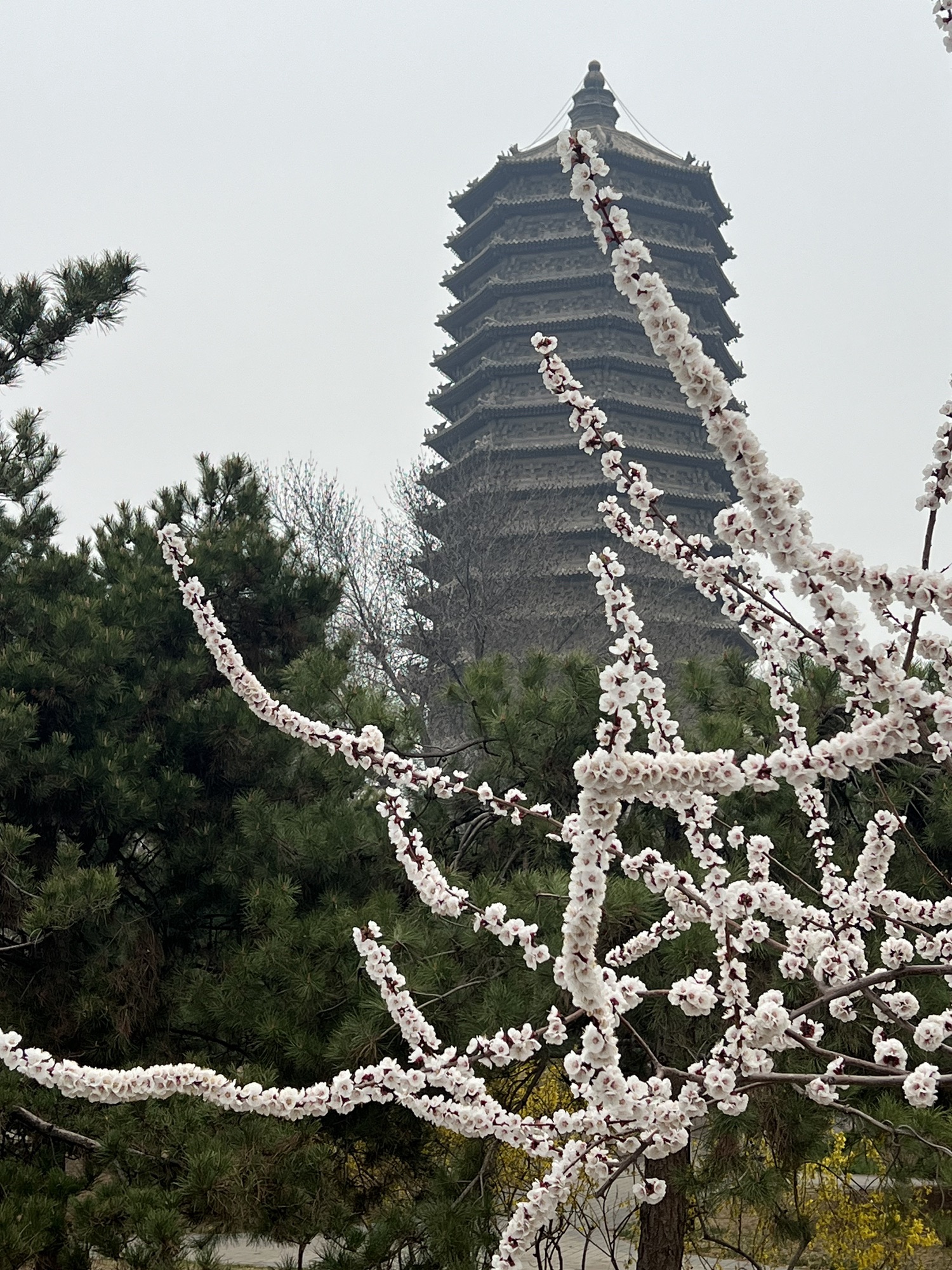 玲珑公园旅行图片 1