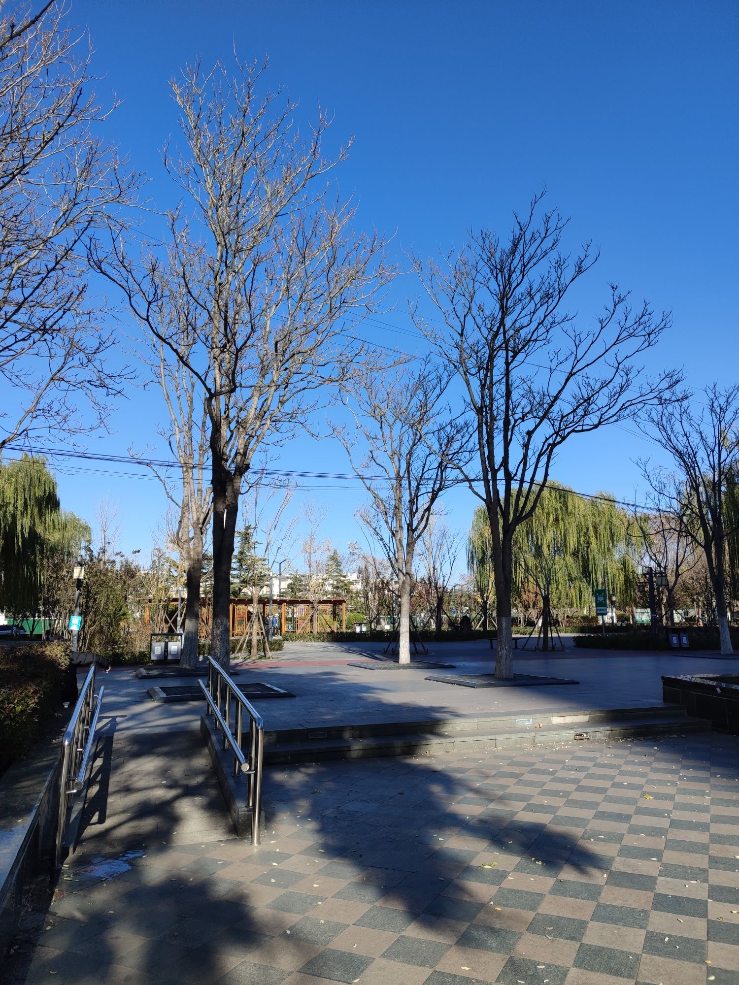 漫春园旅行图片 2