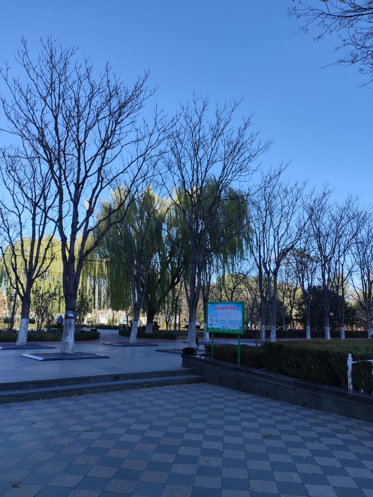 漫春园旅行图片 3