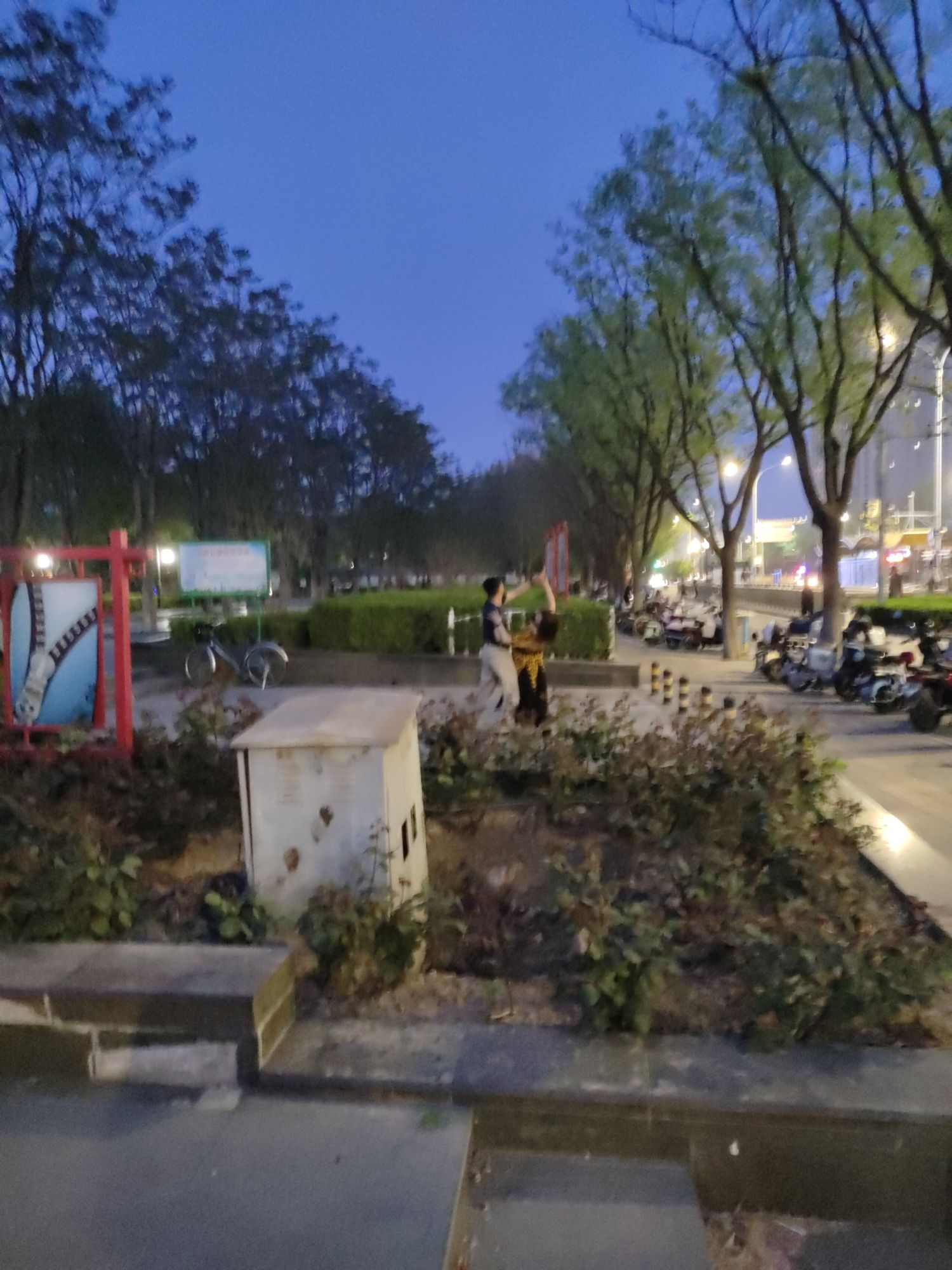 漫春园旅行图片 3