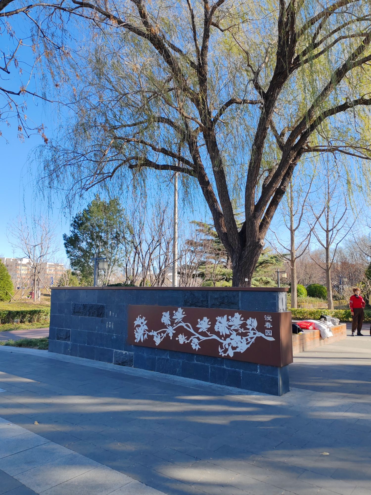 漫春园旅行图片 2