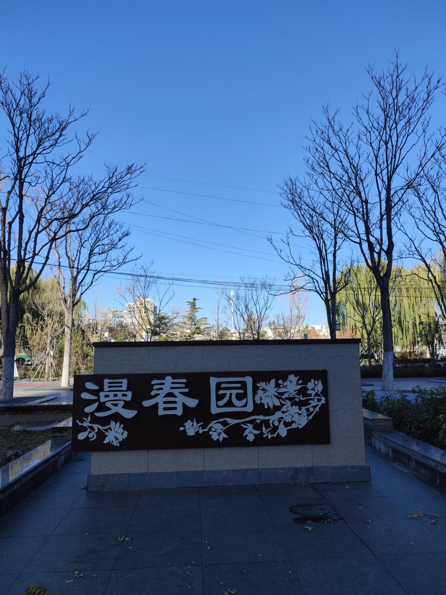 漫春园旅行图片 1