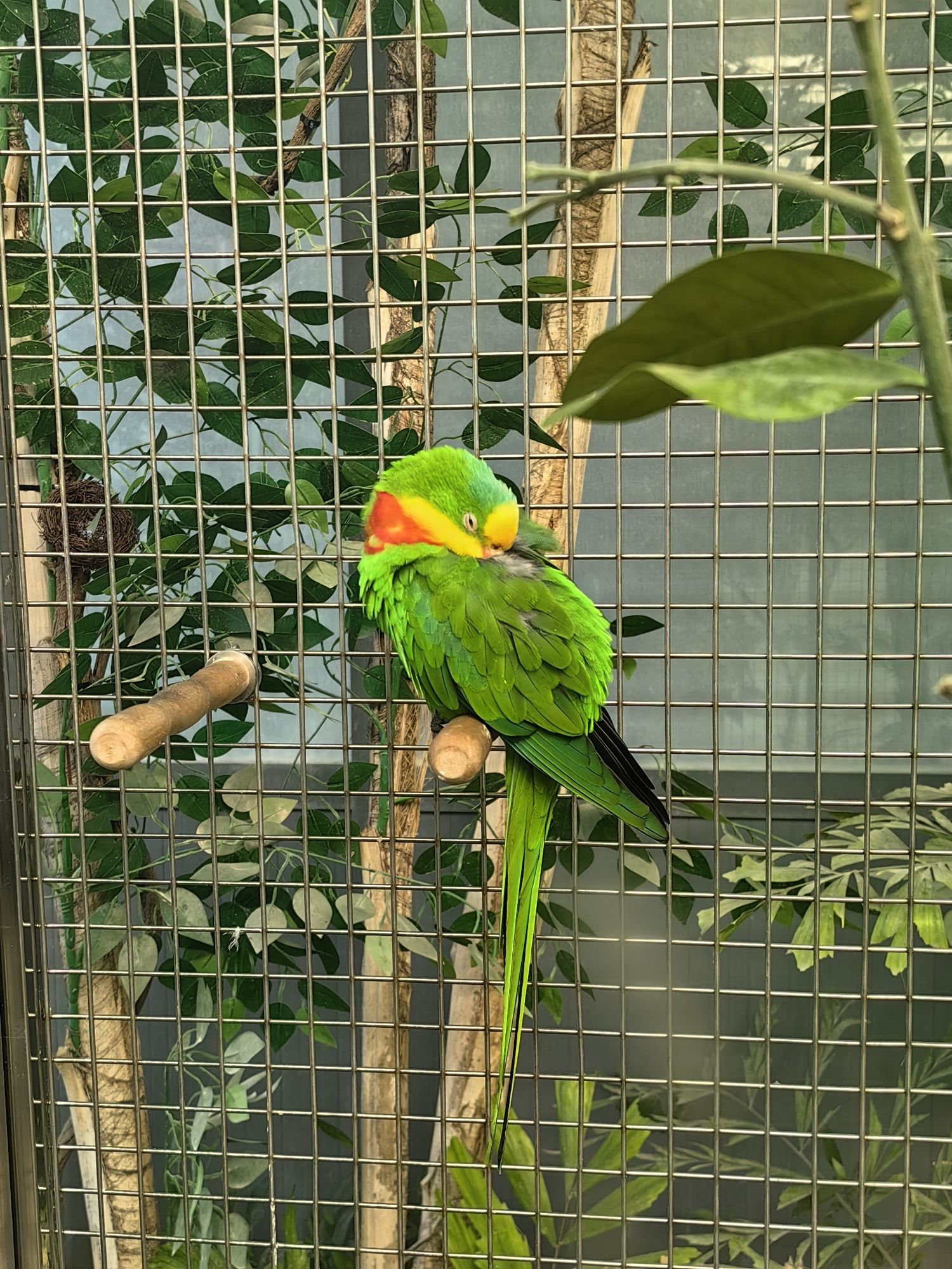 南宫旅游休闲度假区旅行图片 3