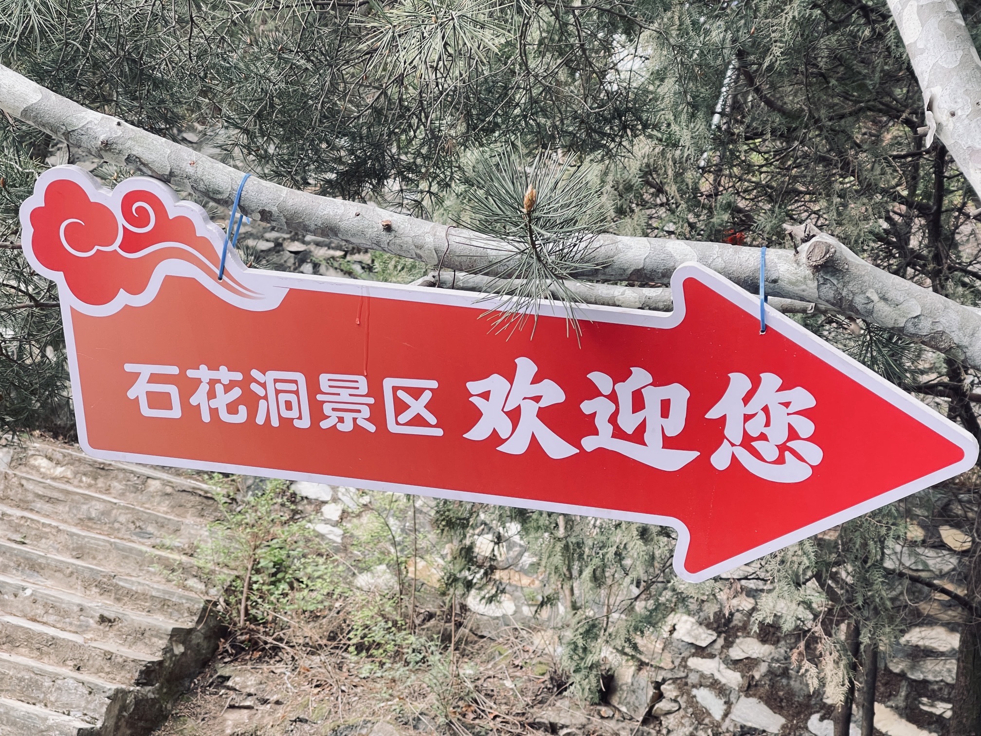 石花洞景区旅行图片 1