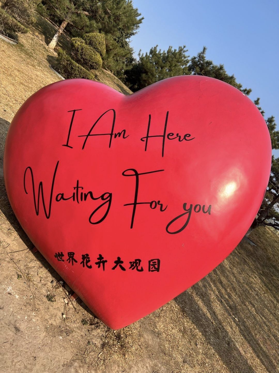 世界花卉大观园旅行图片 3