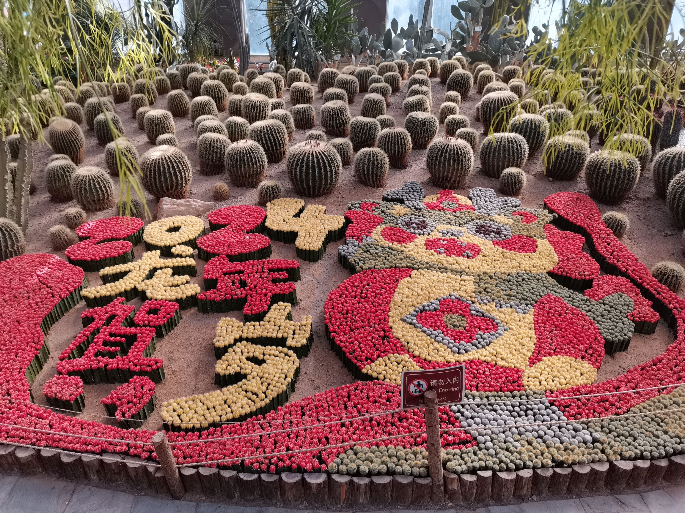 世界花卉大观园旅行图片 3