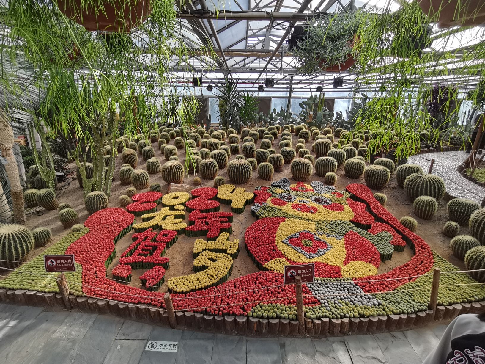 世界花卉大观园旅行图片 1