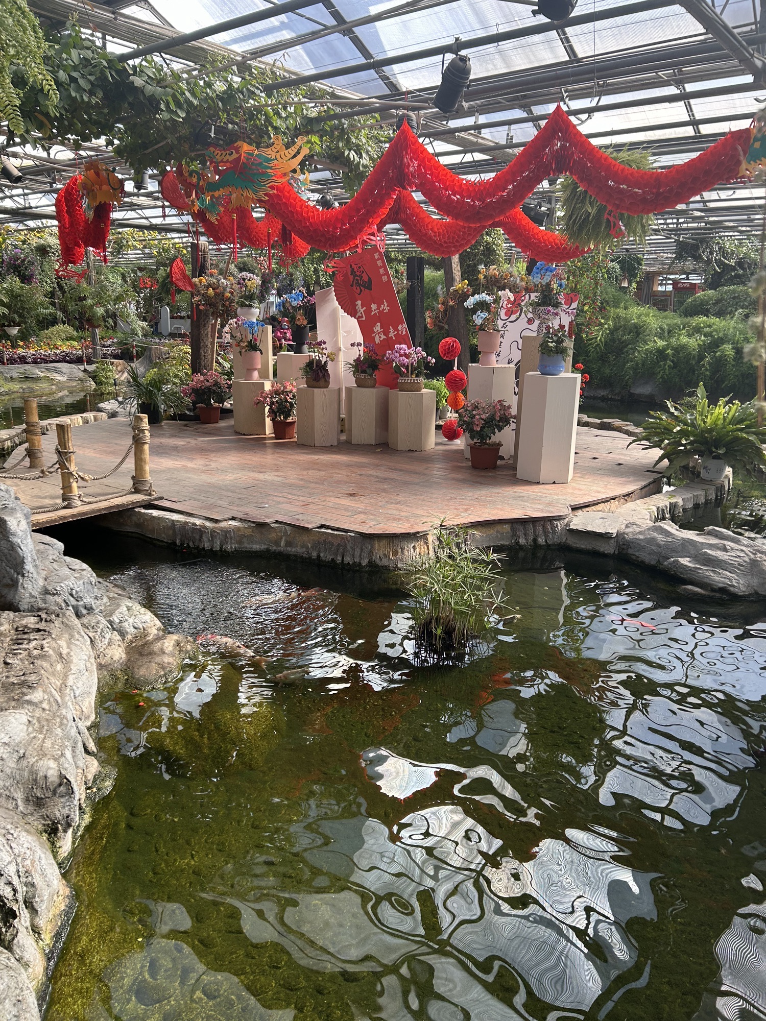 世界花卉大观园旅行图片 1
