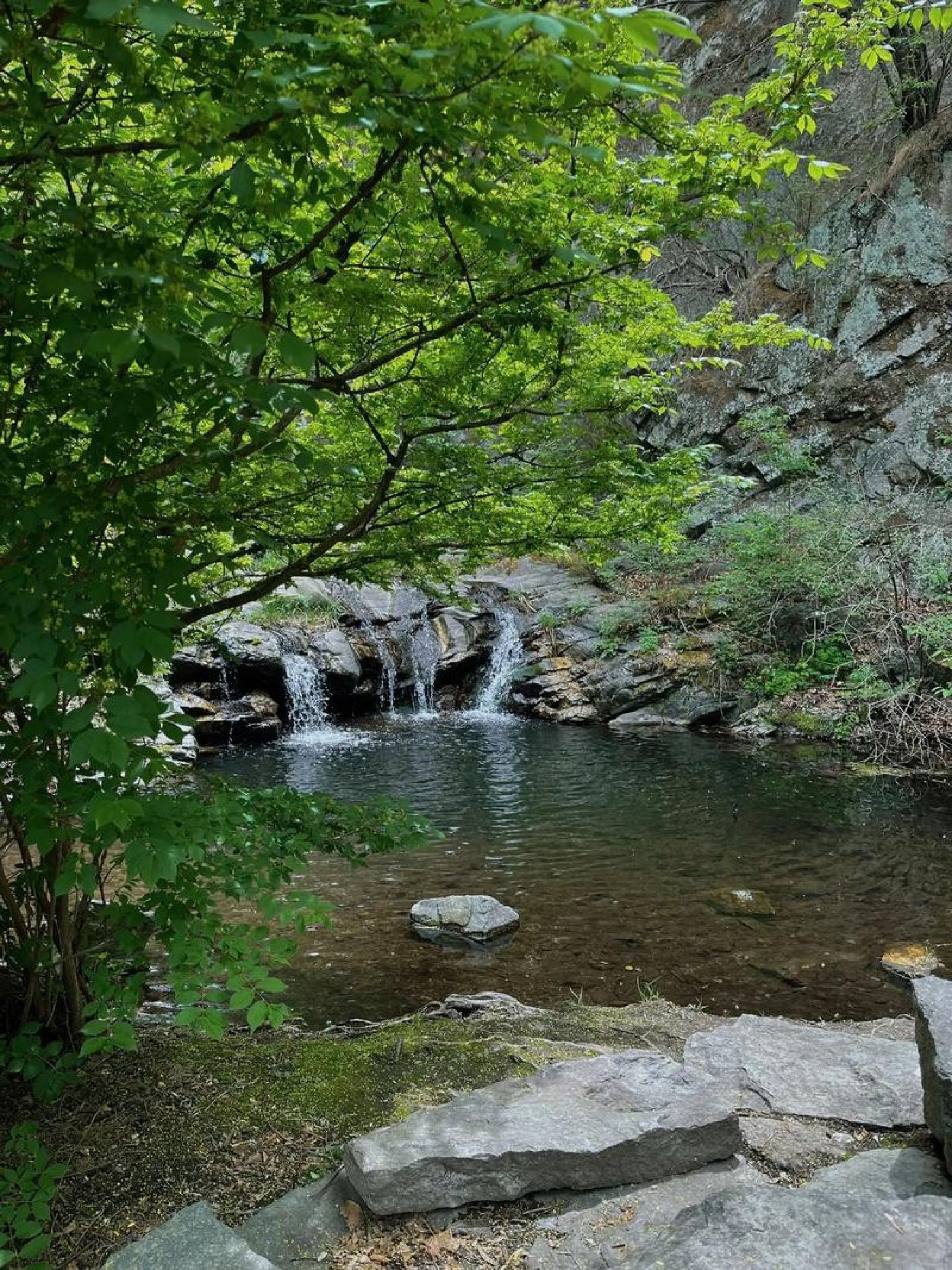 双龙峡自然风景区旅行图片 1