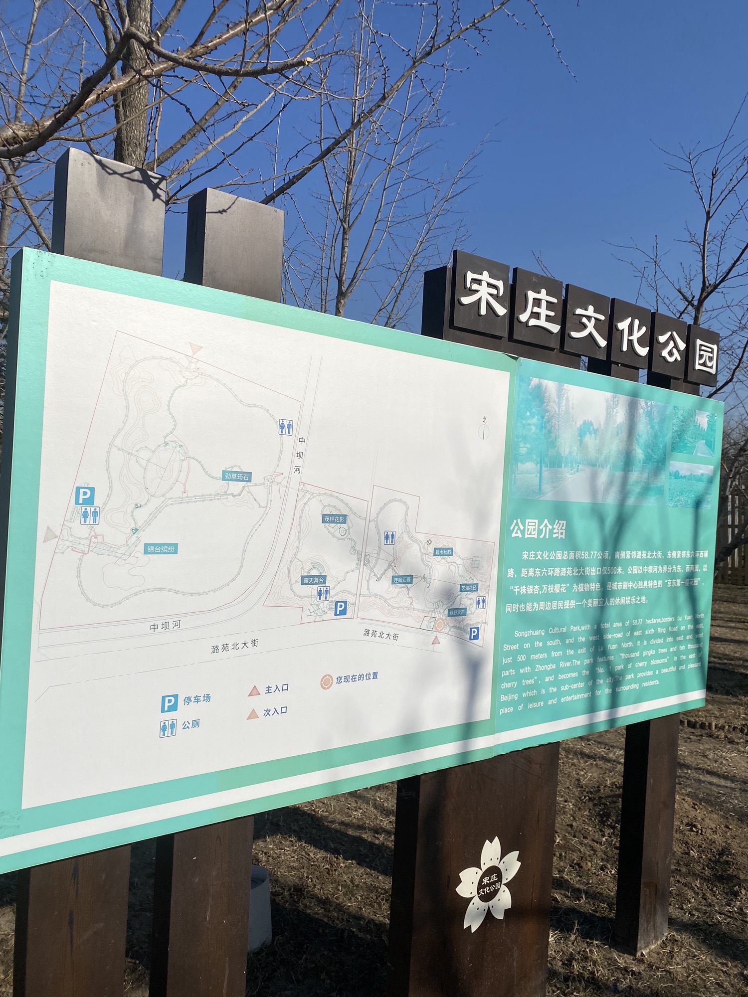 宋庄文化公园旅行图片 2