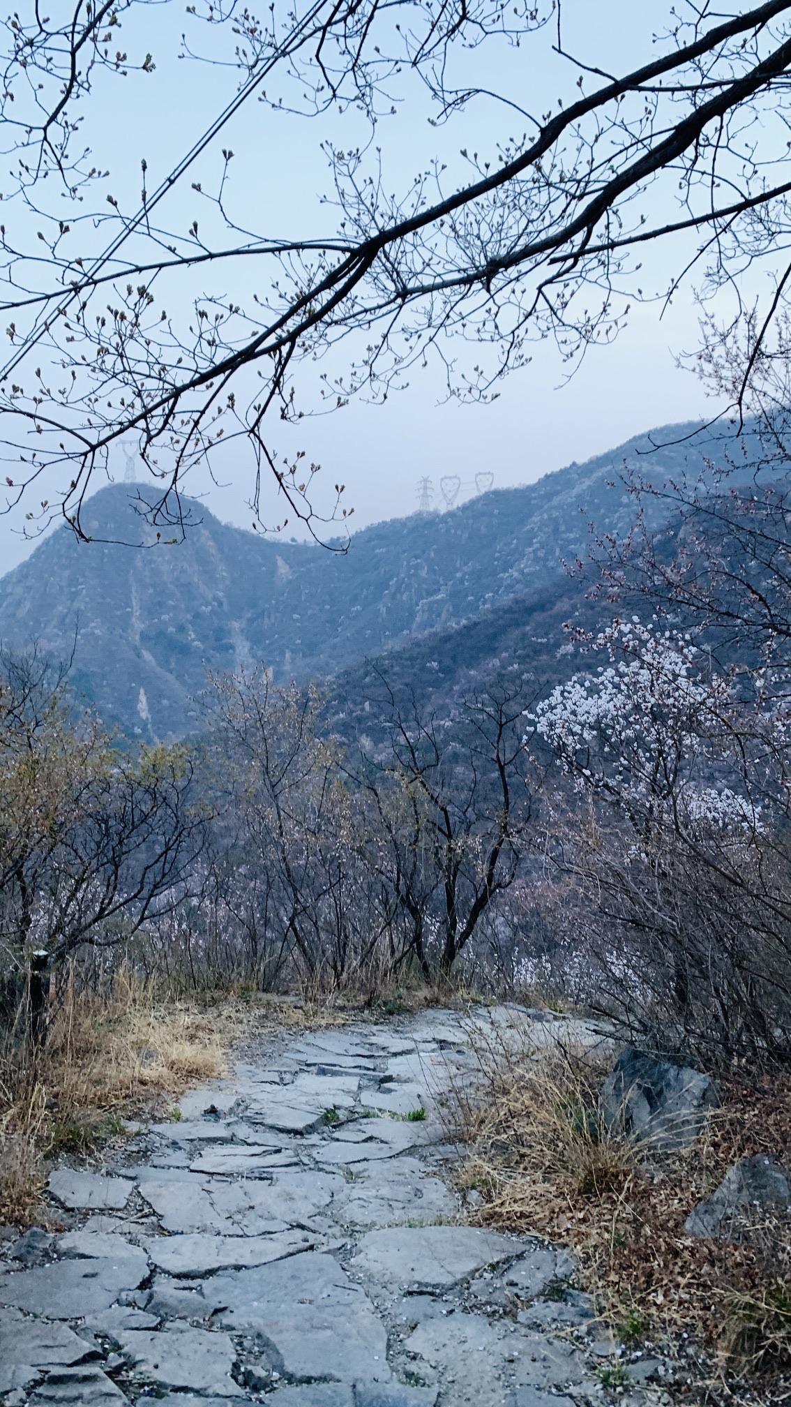 阳台山自然风景区旅行图片 3