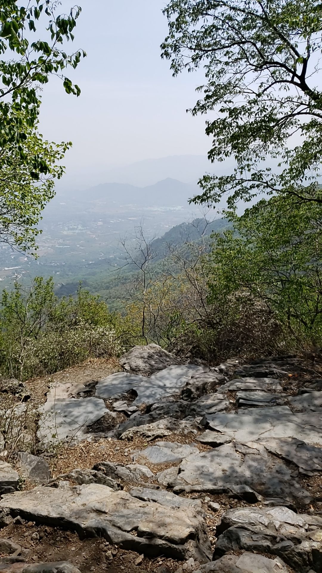 阳台山自然风景区旅行图片 2
