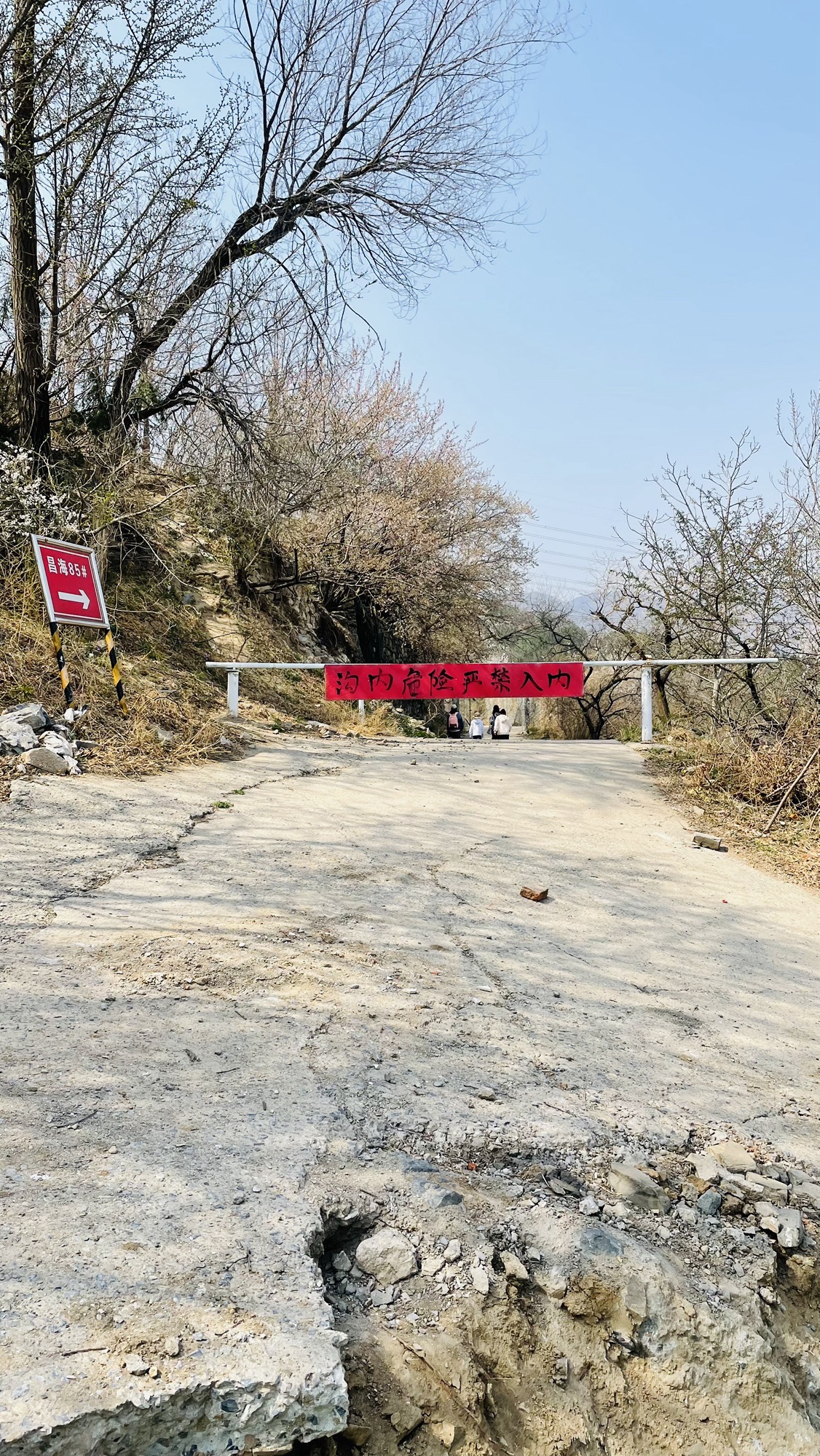 阳台山自然风景区旅行图片 2