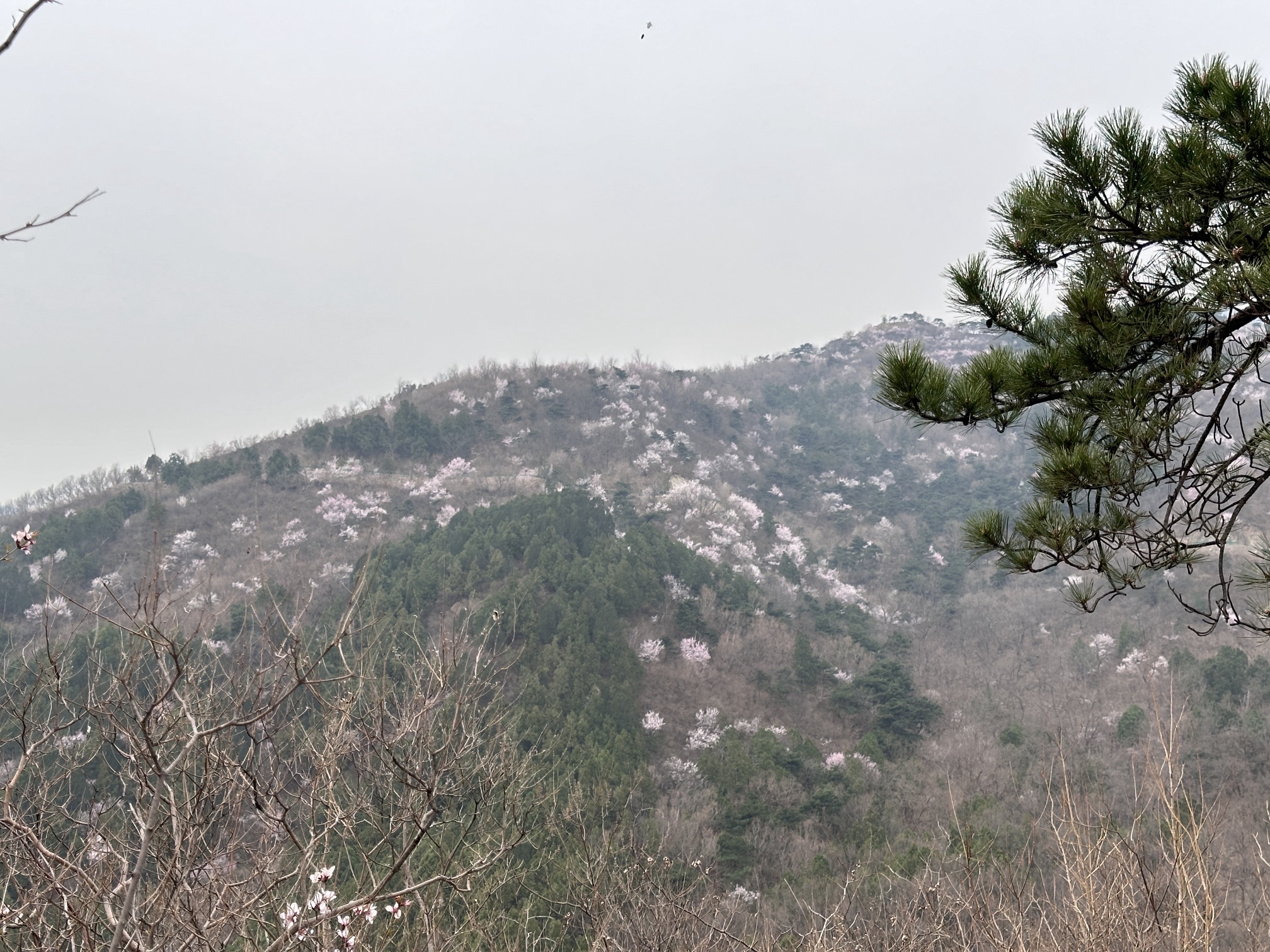 阳台山自然风景区旅行图片 1