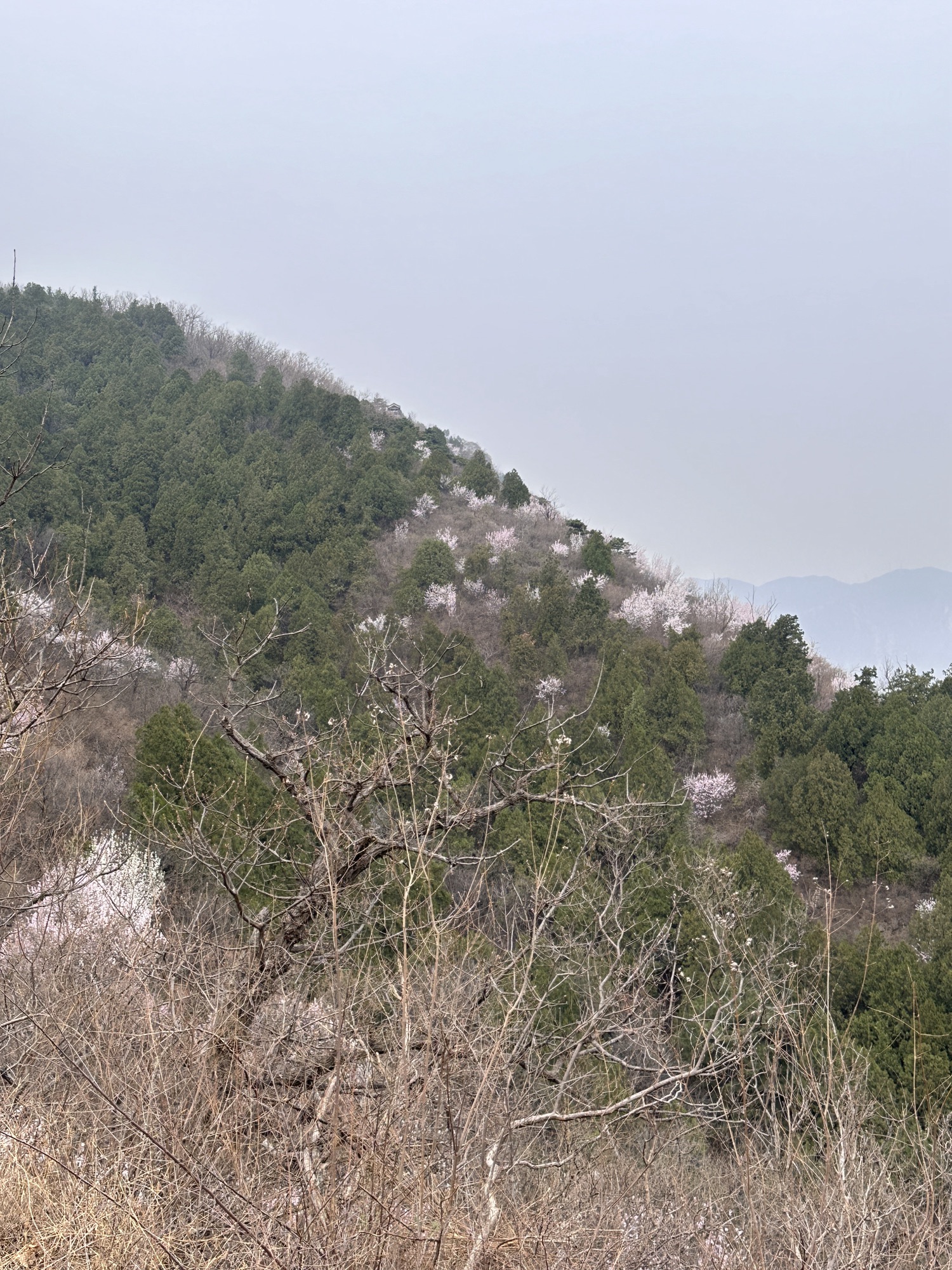 阳台山自然风景区旅行图片 3