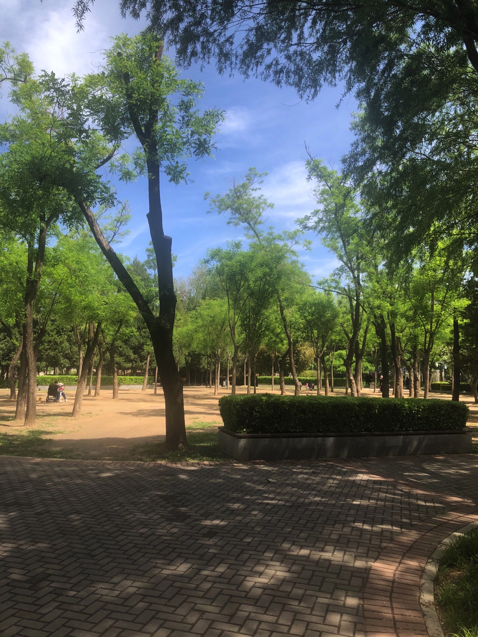 怡园公园旅行图片 2