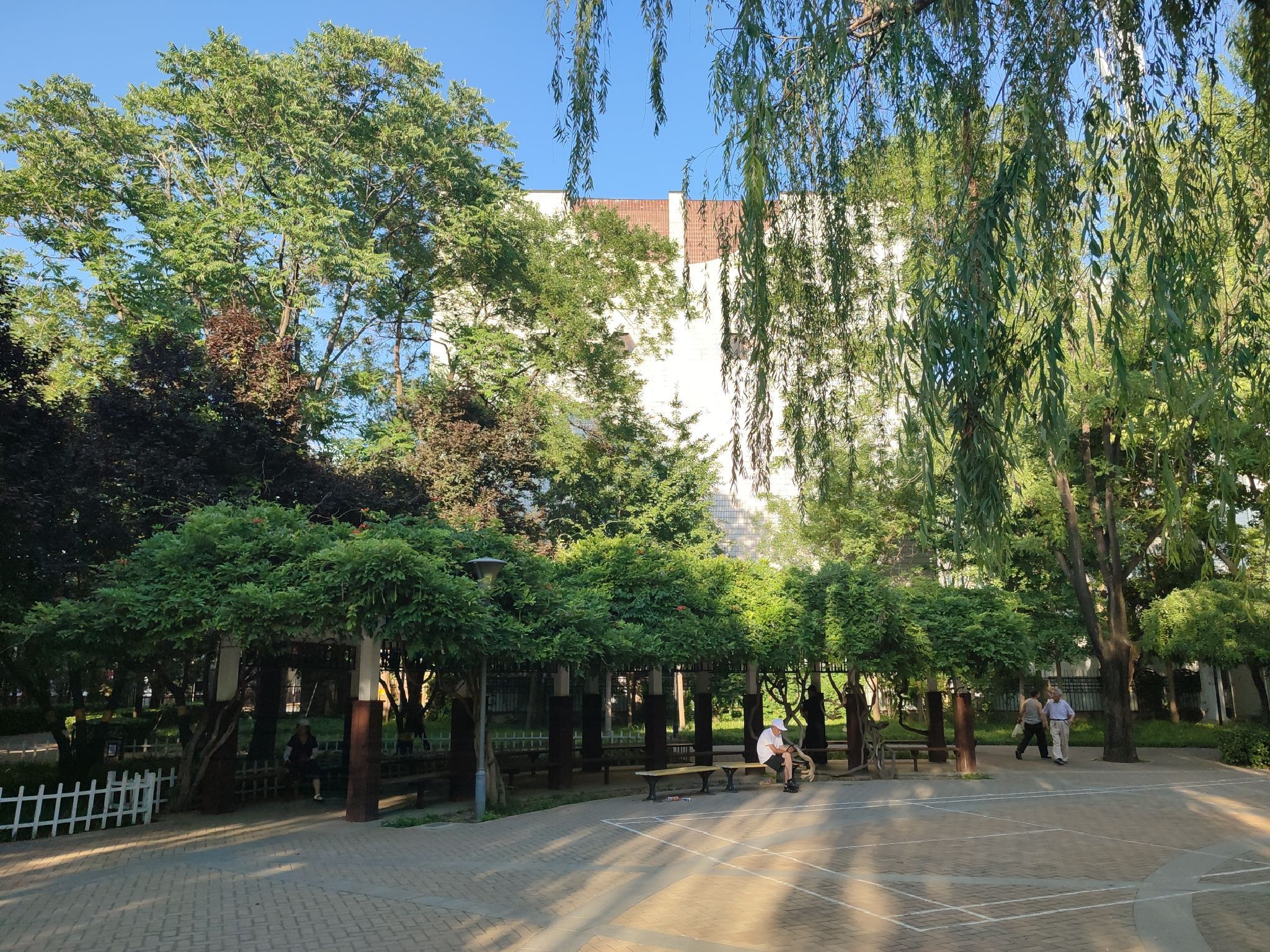 怡园公园旅行图片 1