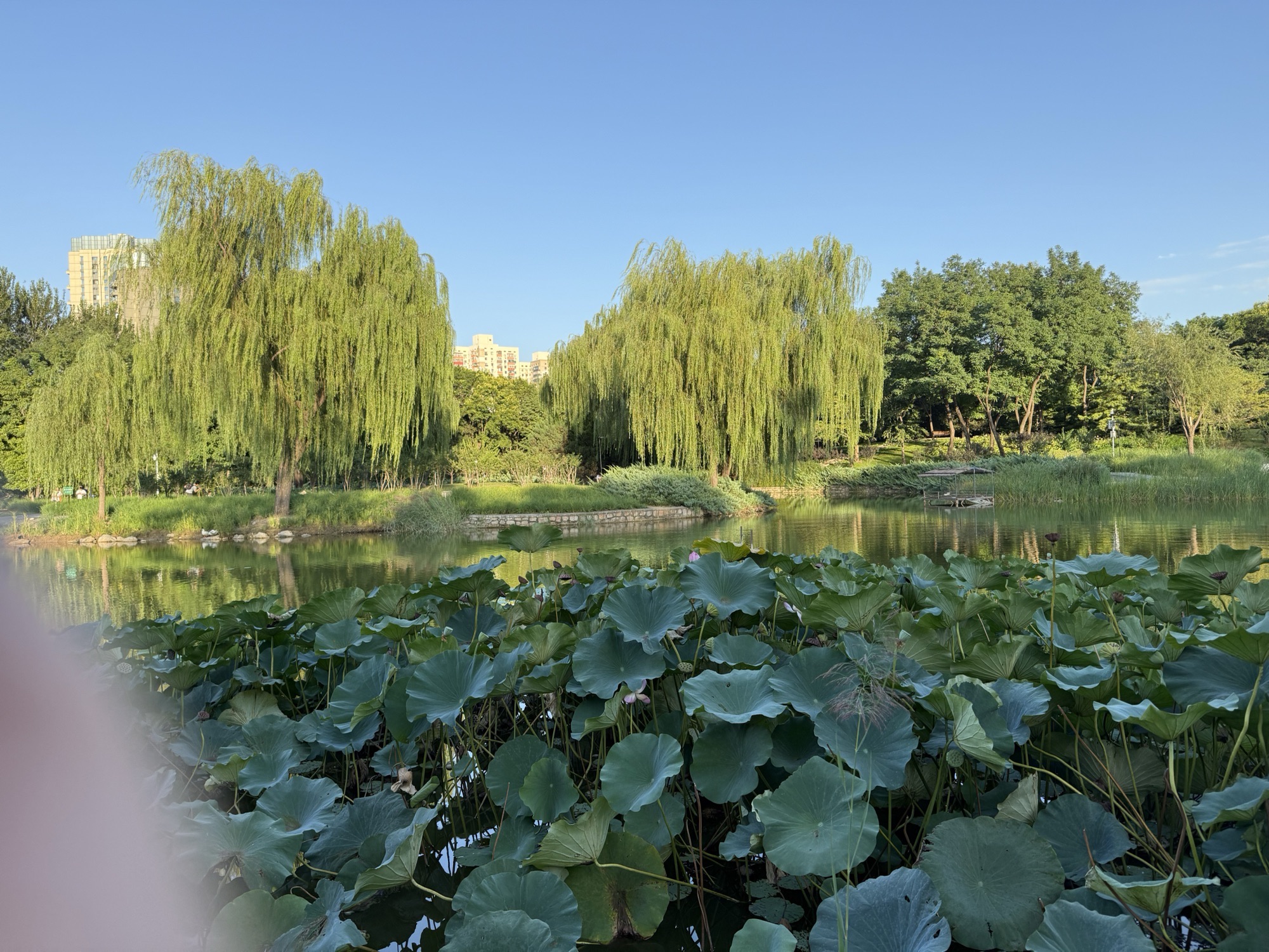 四得公园旅行图片 3
