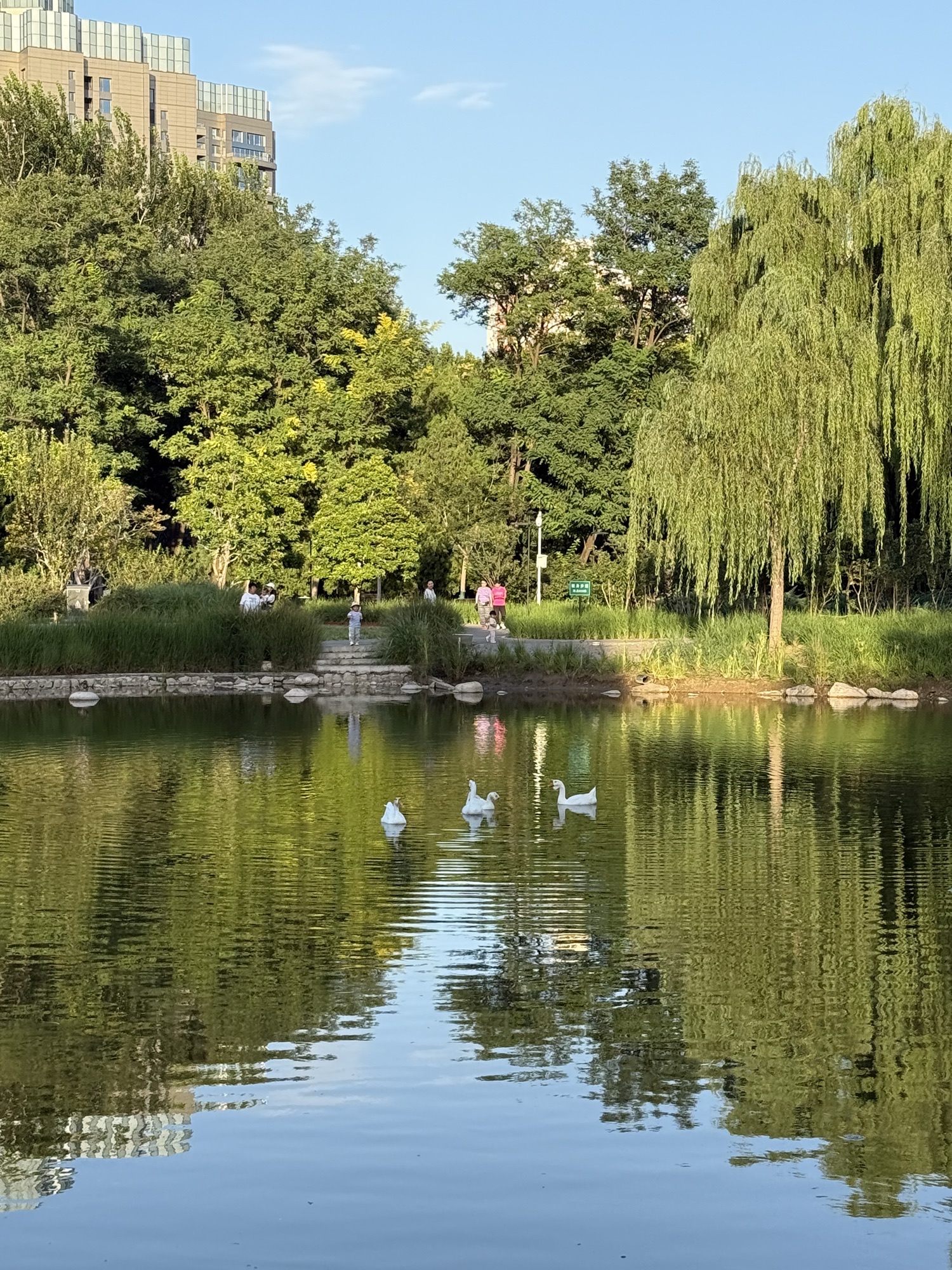 四得公园旅行图片 2