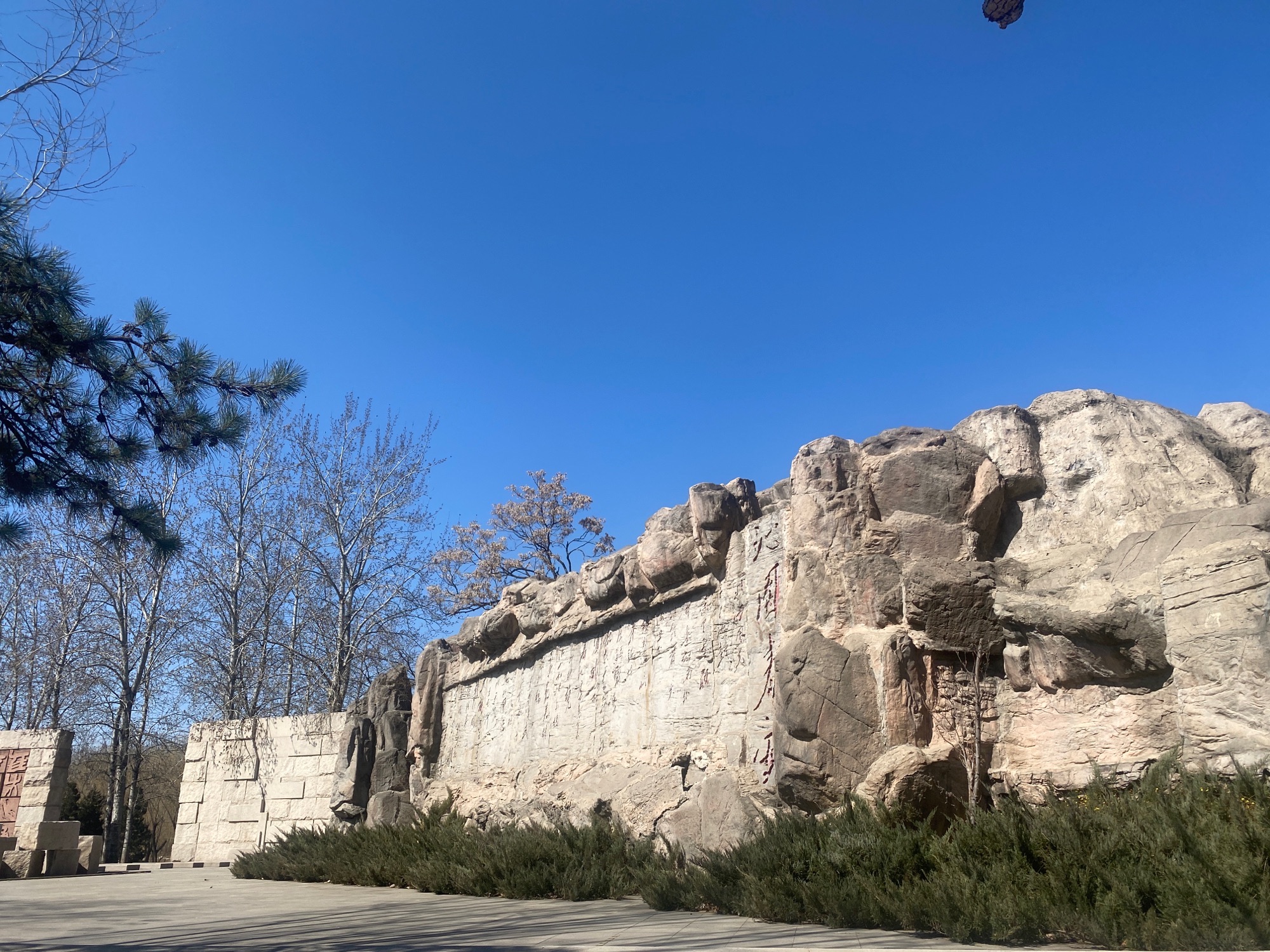 四得公园旅行图片 1