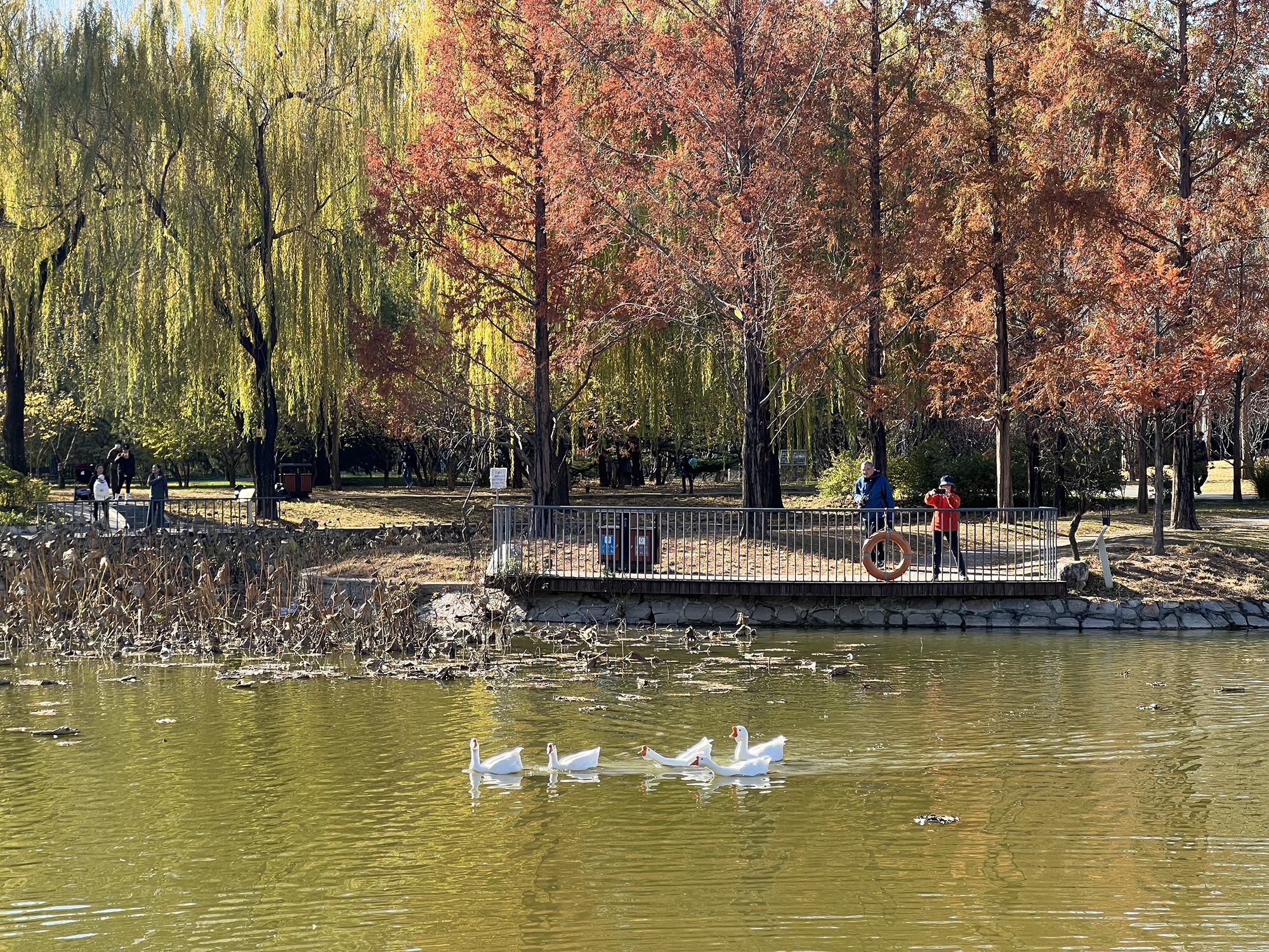 北京市朝阳区四得公园景区（高德地图）
