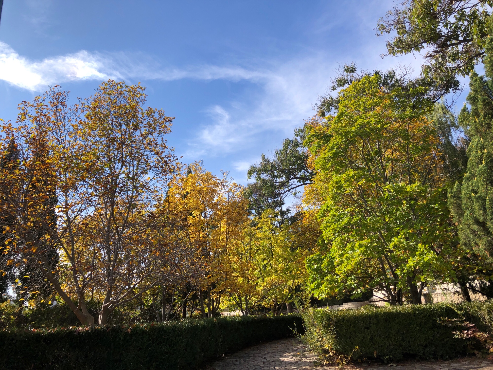 京东大溶洞景区旅行图片 2