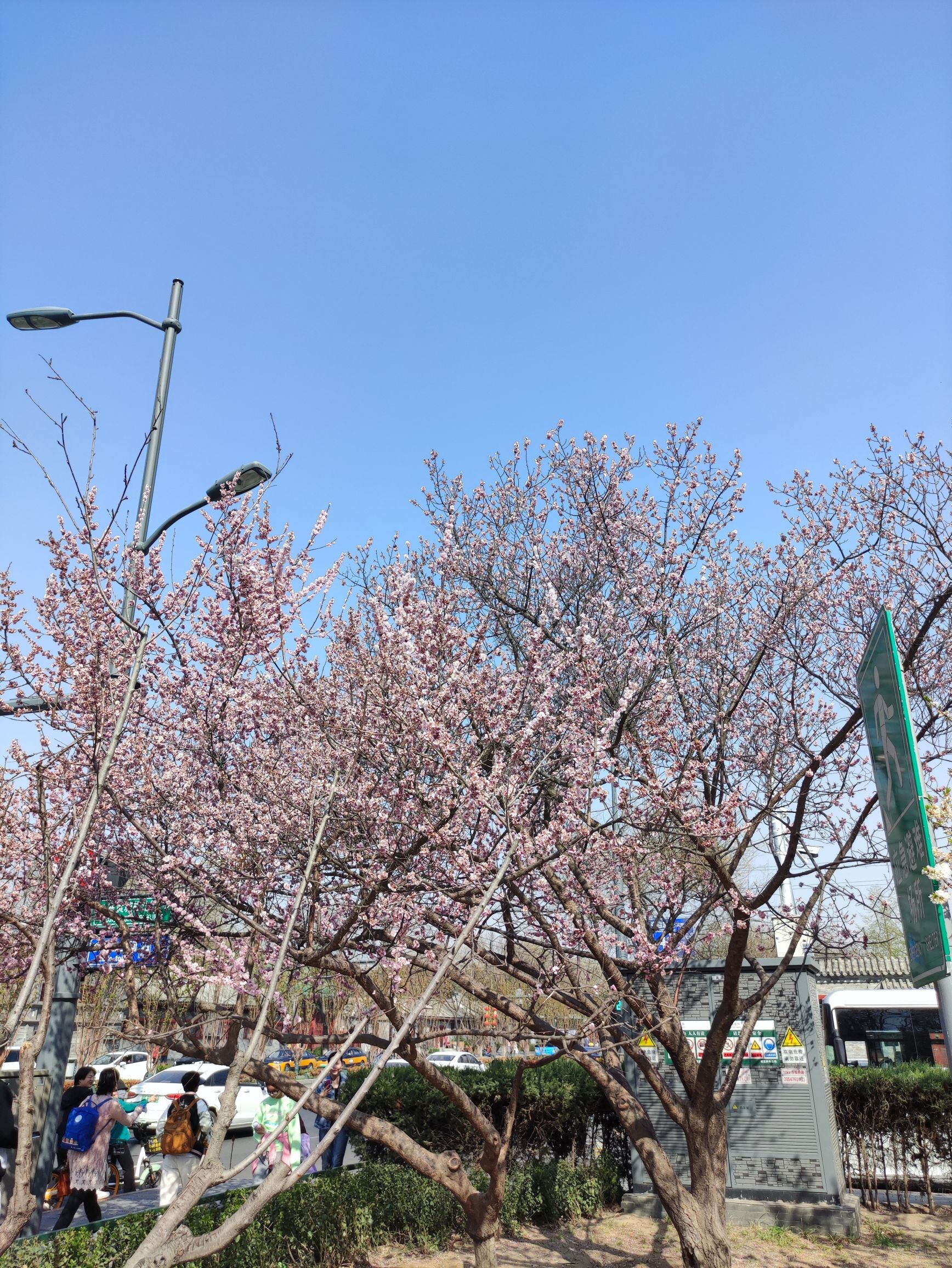 皇城根遗址公园旅行图片 3