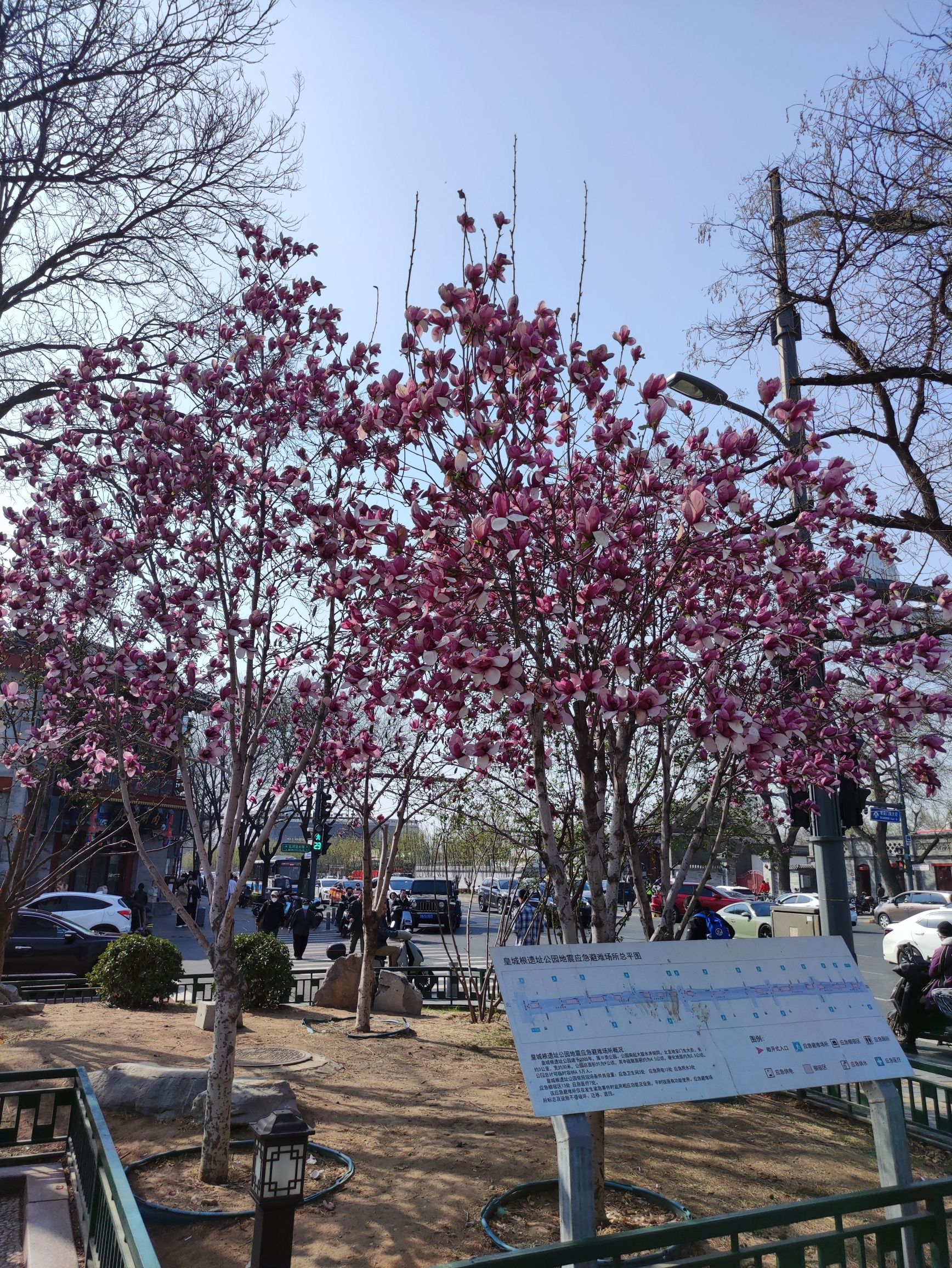皇城根遗址公园旅行图片 2