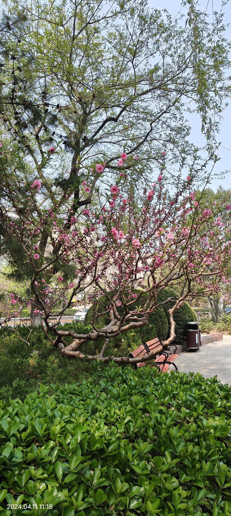 皇城根遗址公园旅行图片 3