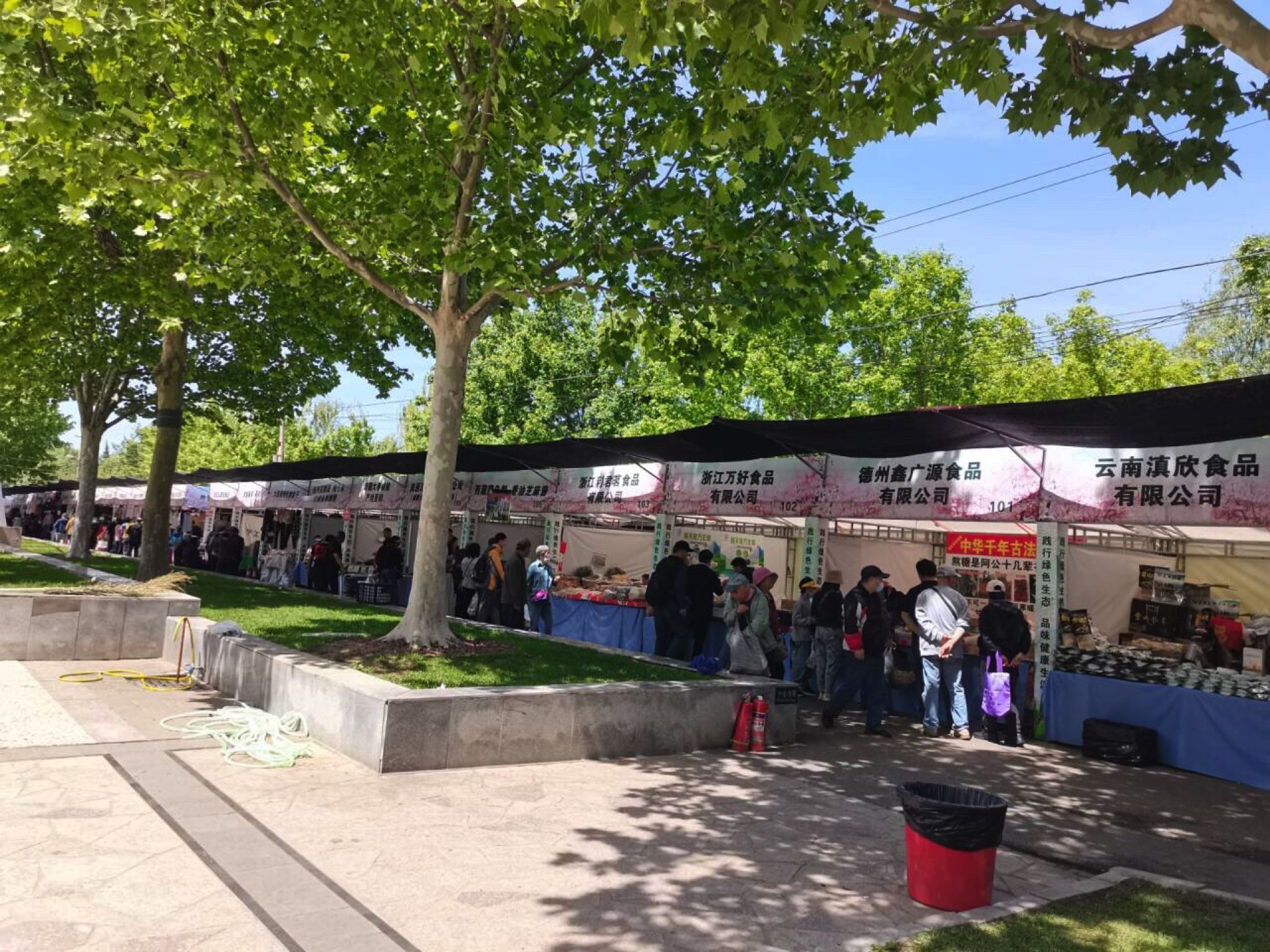 玉蜓公园旅行图片 1