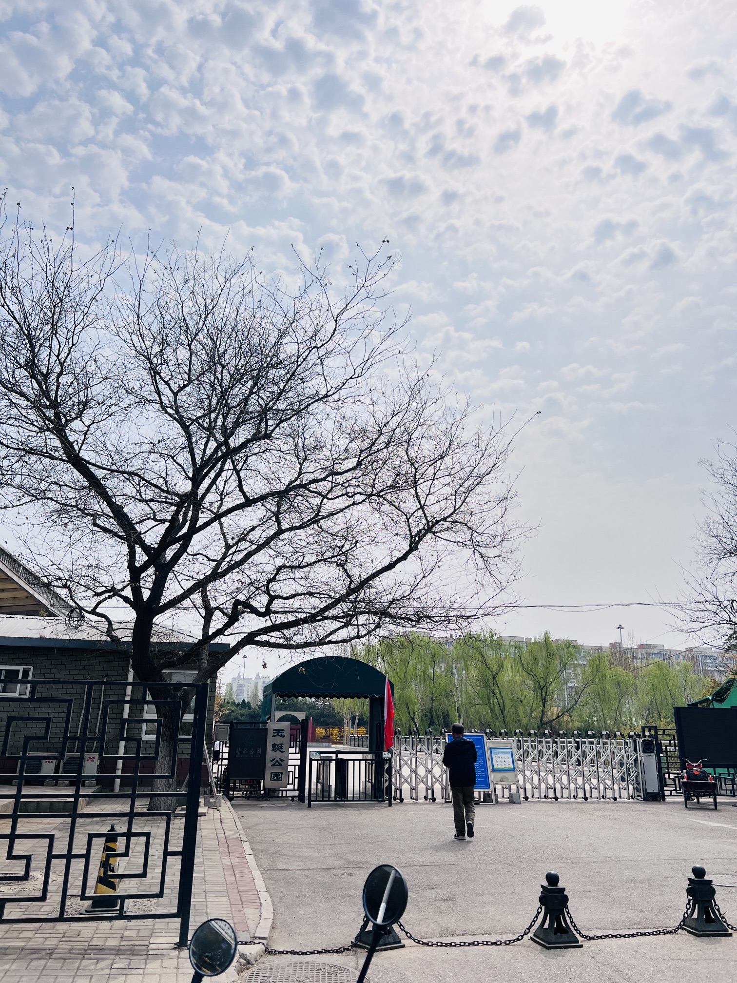 玉蜓公园旅行图片 1