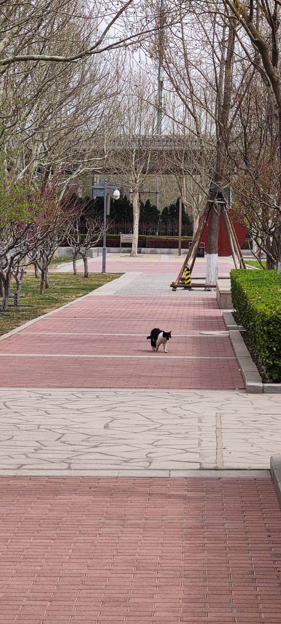 玉蜓公园旅行图片 2