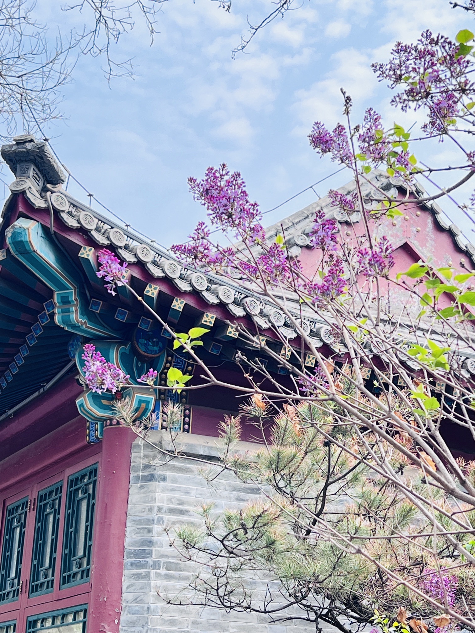 玉蜓公园旅行图片 3