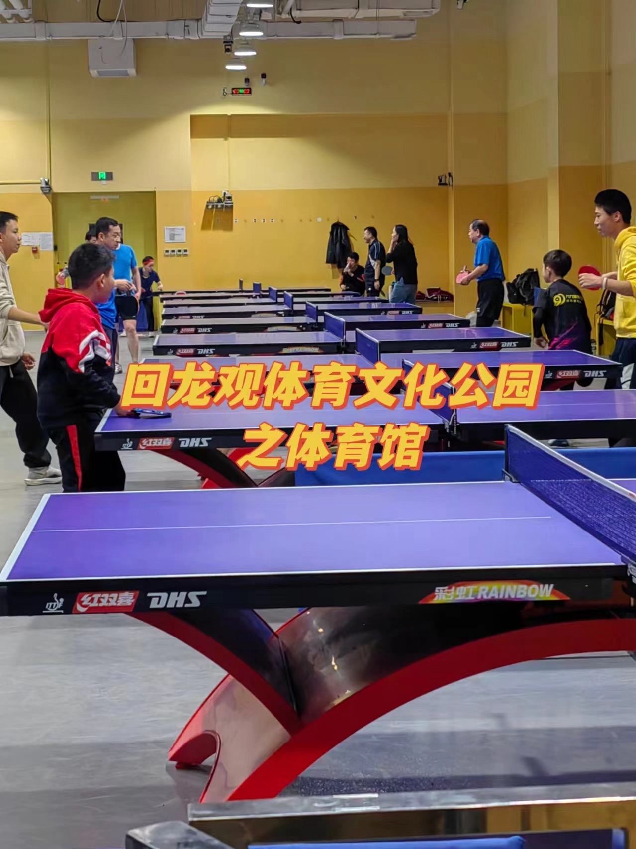 回龙观体育文化公园旅行图片 1