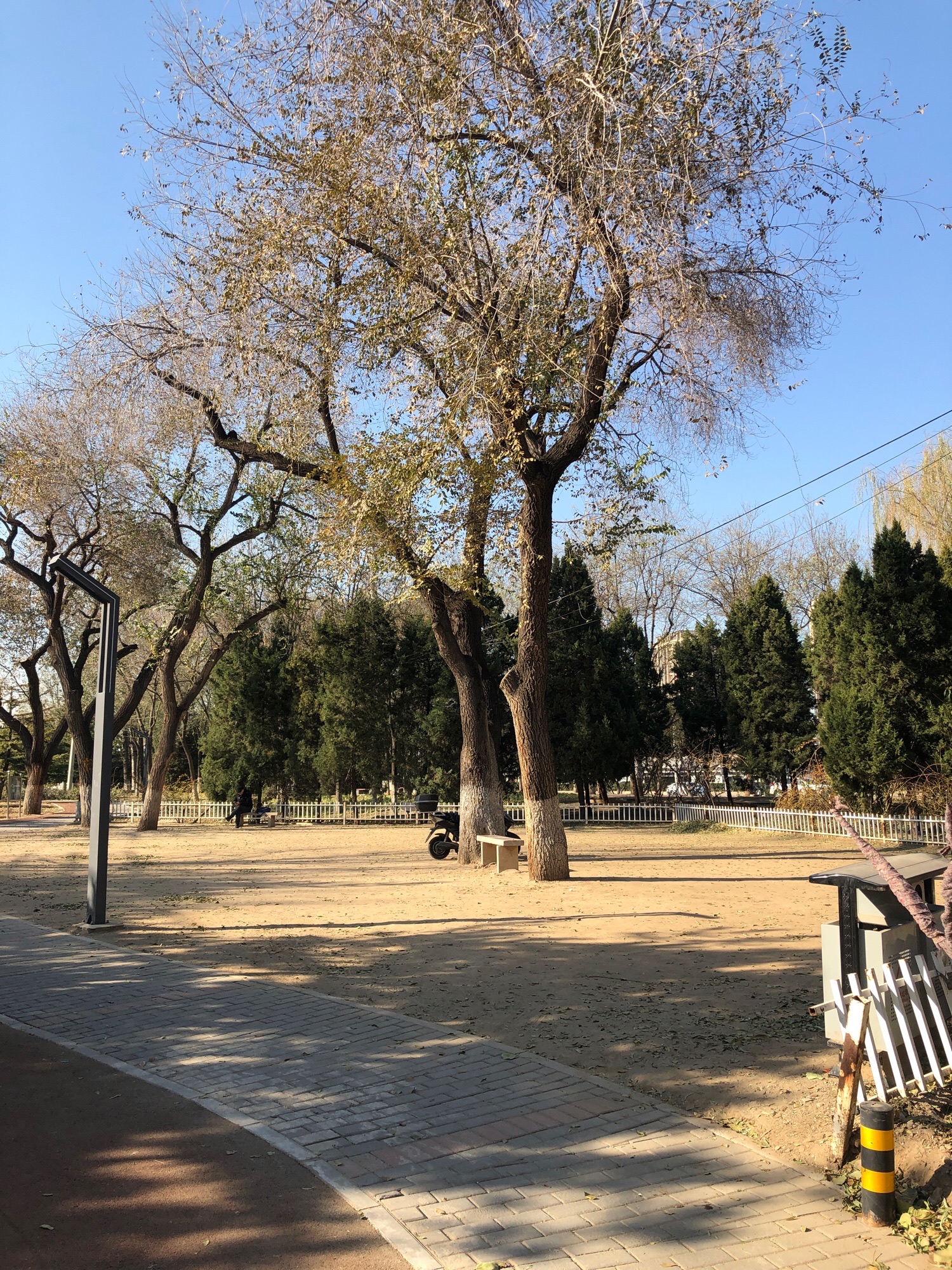 嘉河公园旅行图片 3