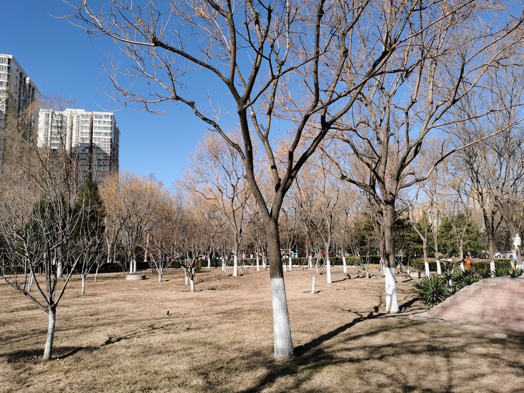 嘉河公园旅行图片 2