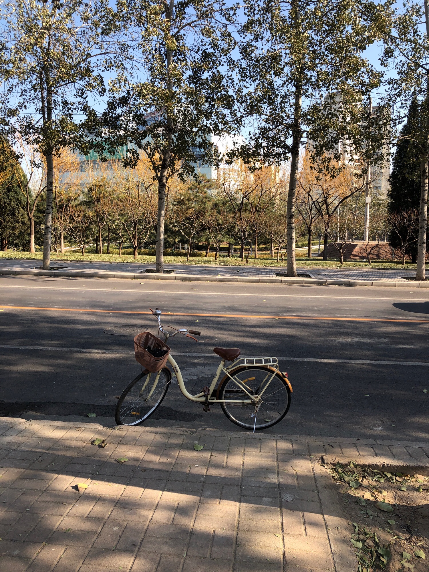 嘉河公园旅行图片 2
