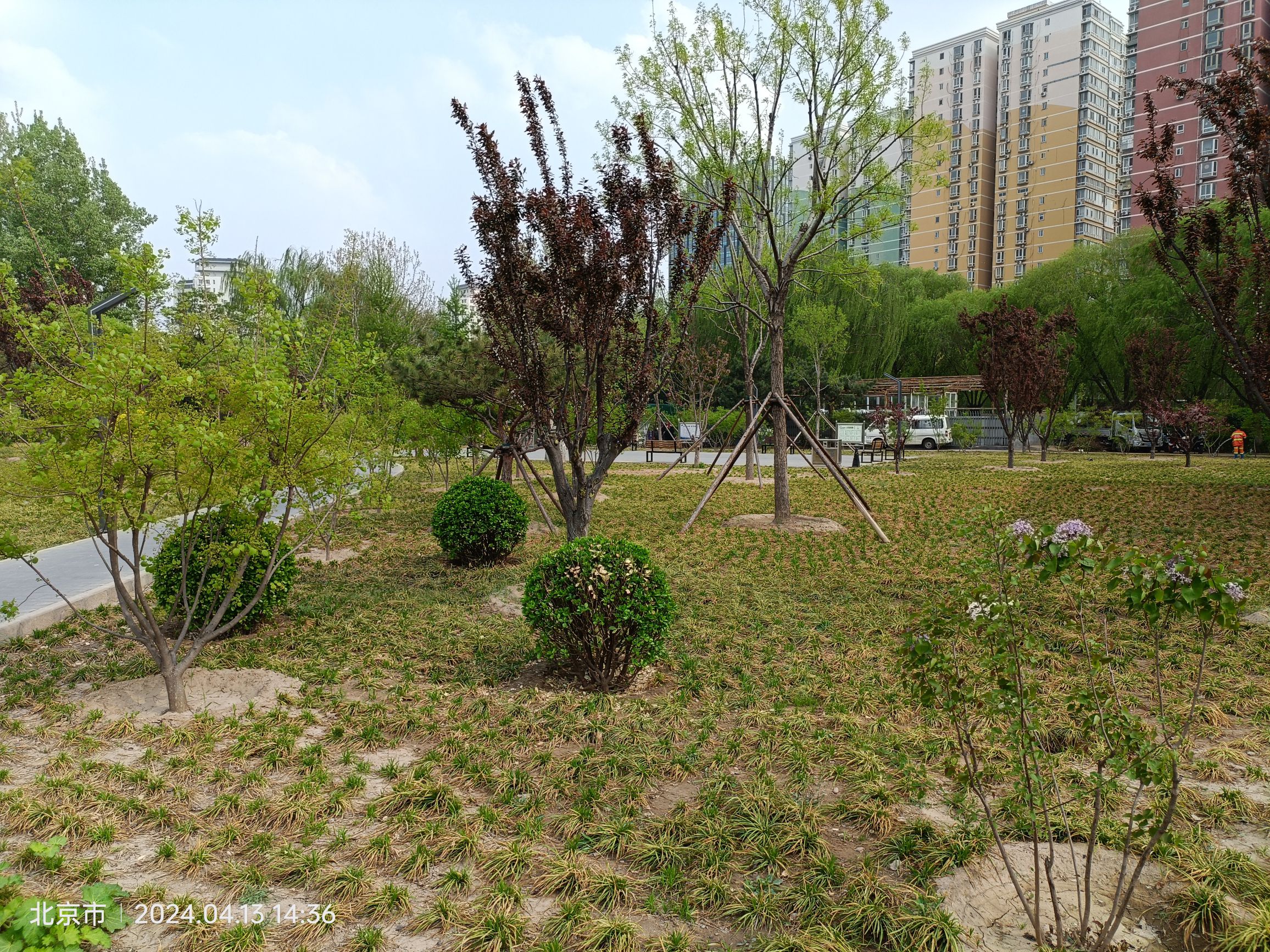 嘉河公园旅行图片 3
