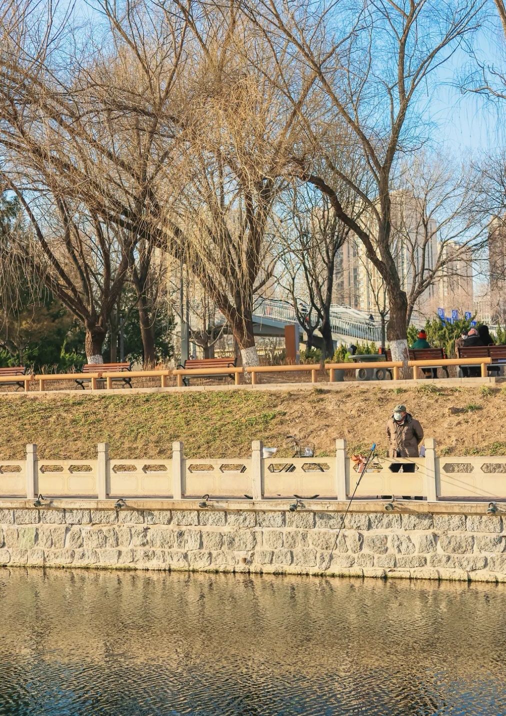 嘉河公园旅行图片 2