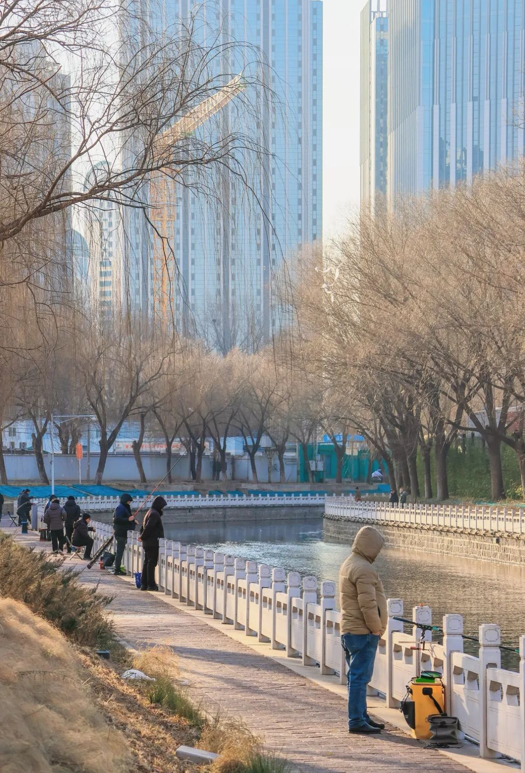 嘉河公园旅行图片 3