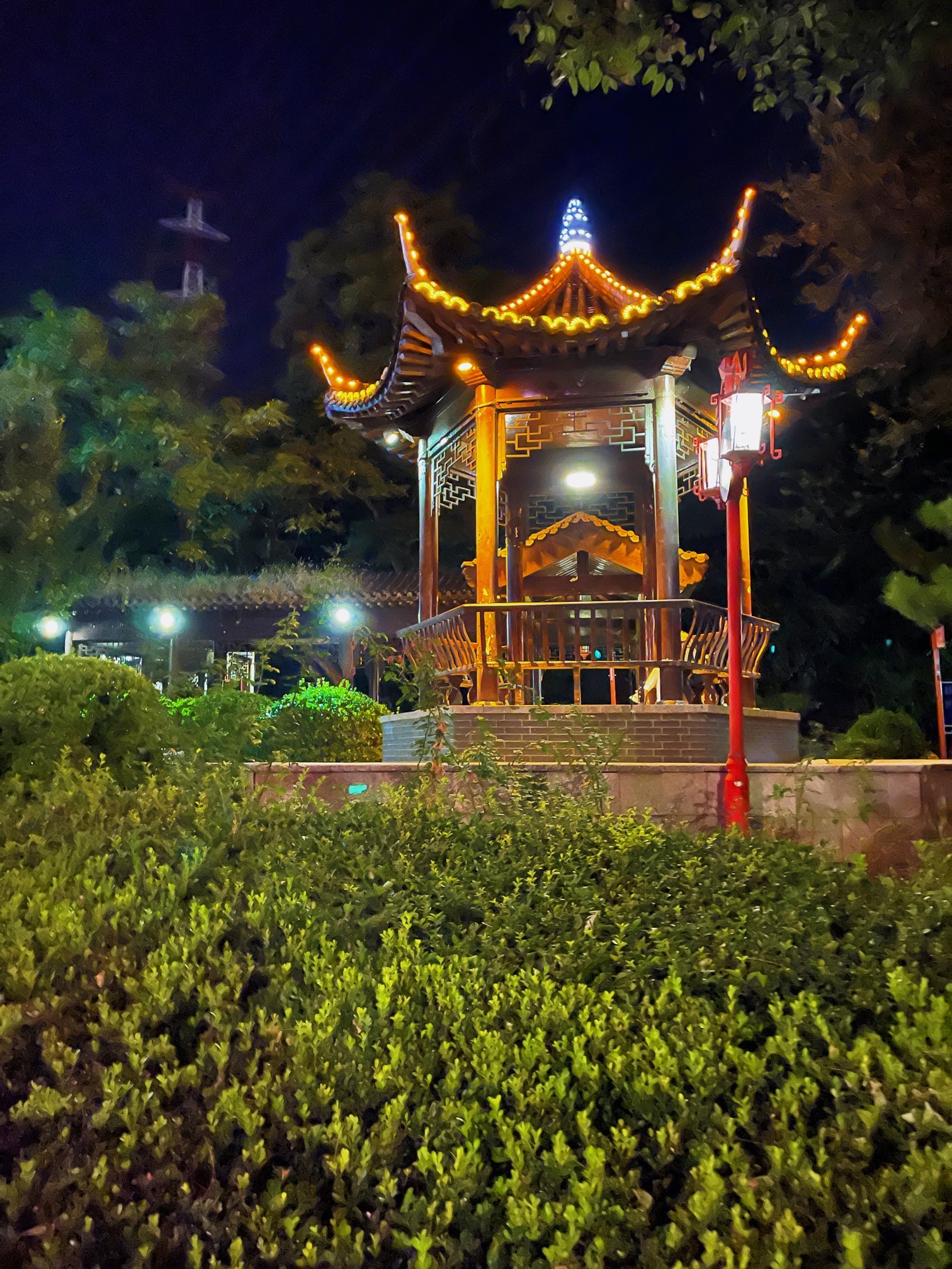 葡山公园旅行图片 1