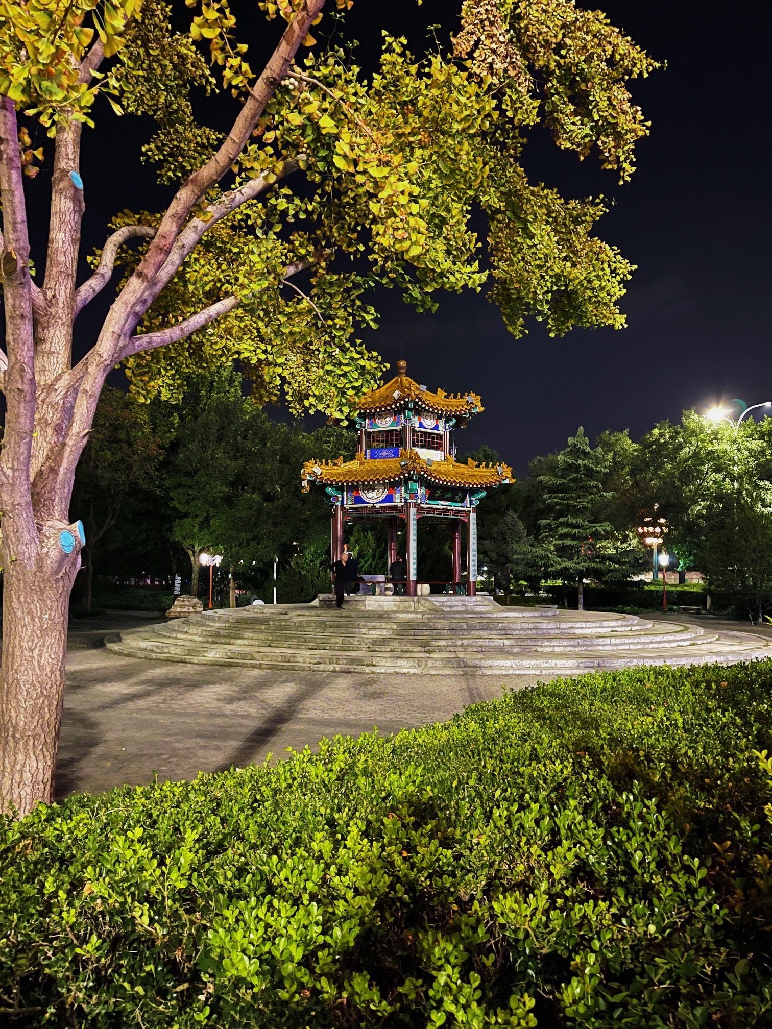 葡山公园旅行图片 3