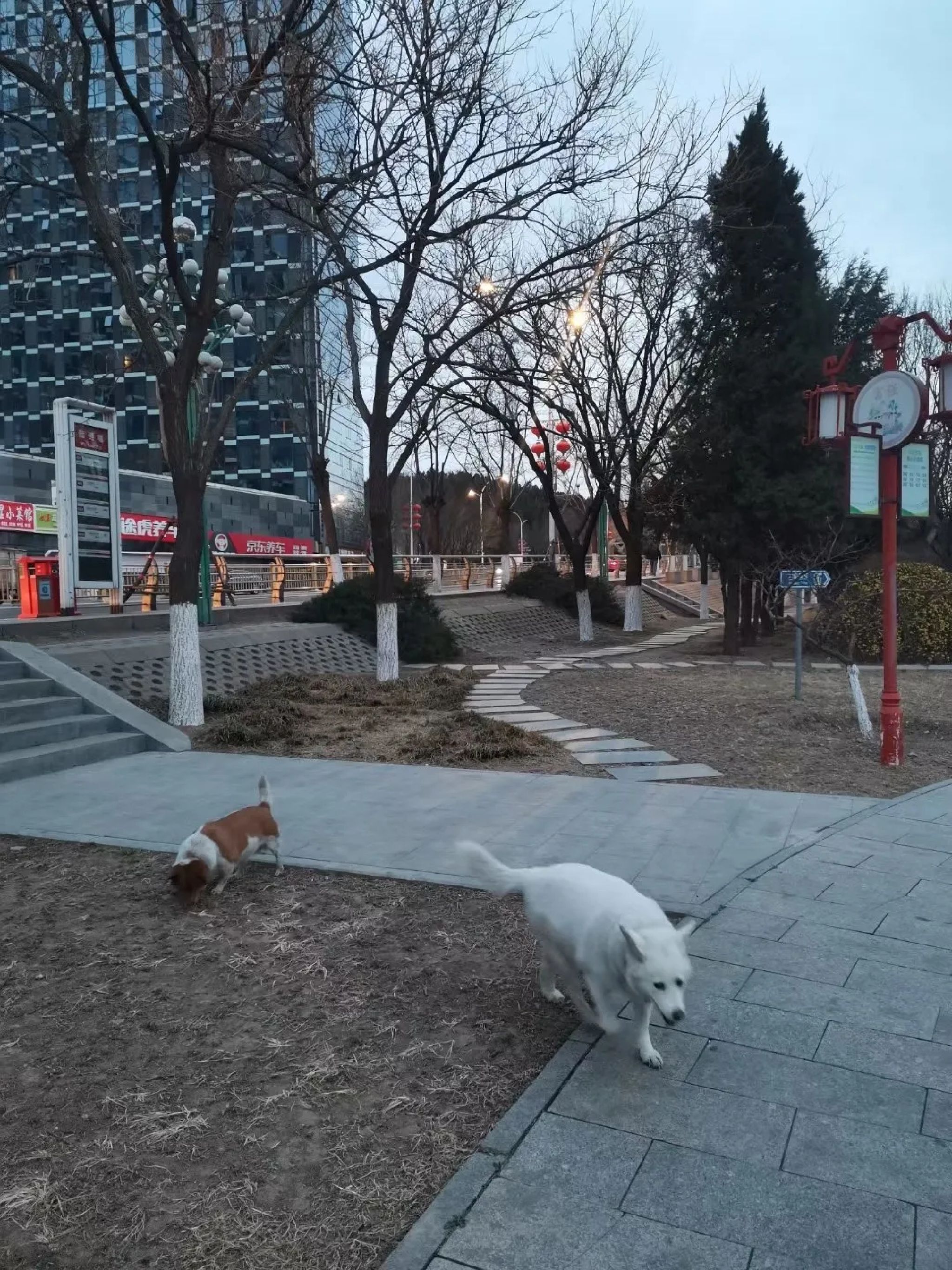 葡山公园旅行图片 1