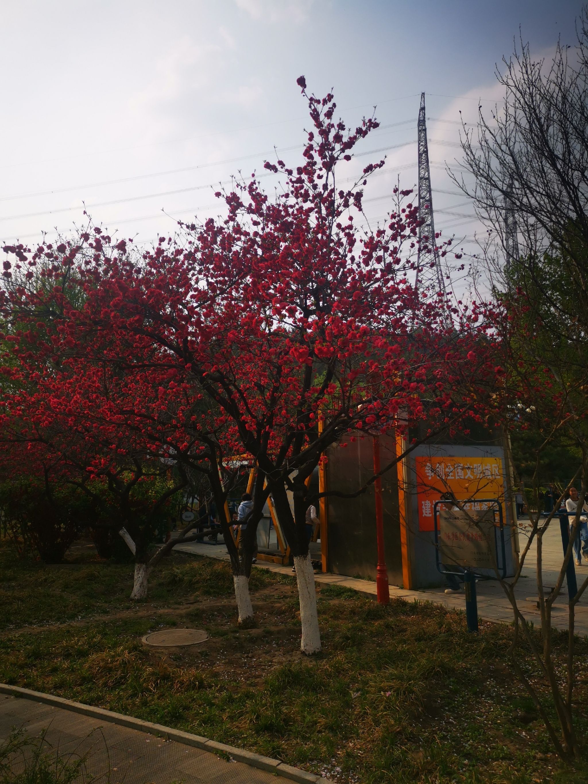 葡山公园旅行图片 1