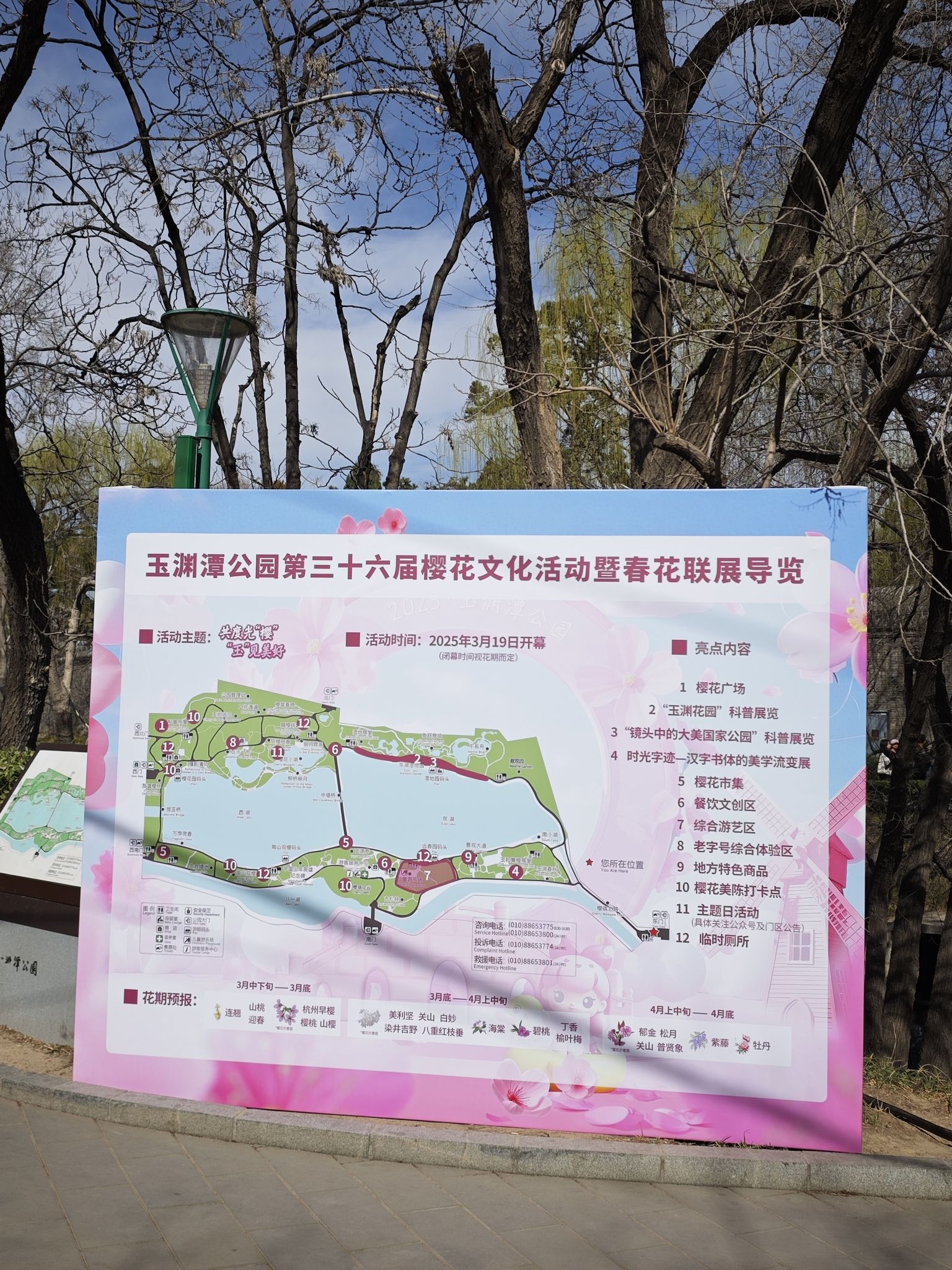 玉渊潭公园旅行图片 2