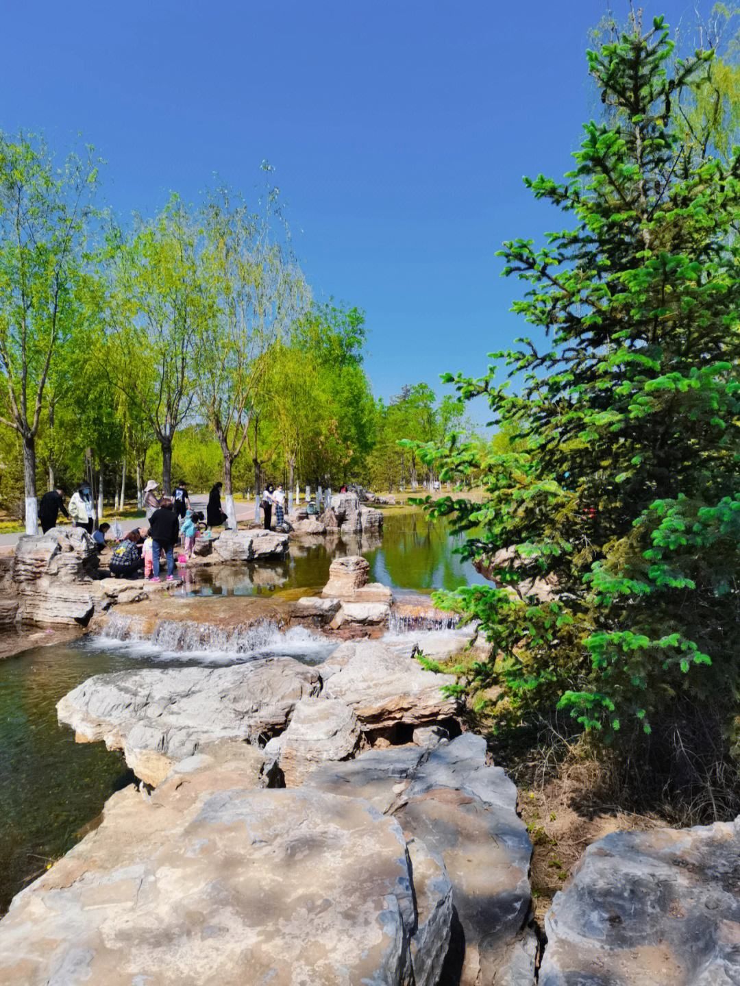 白河公园旅行图片 1