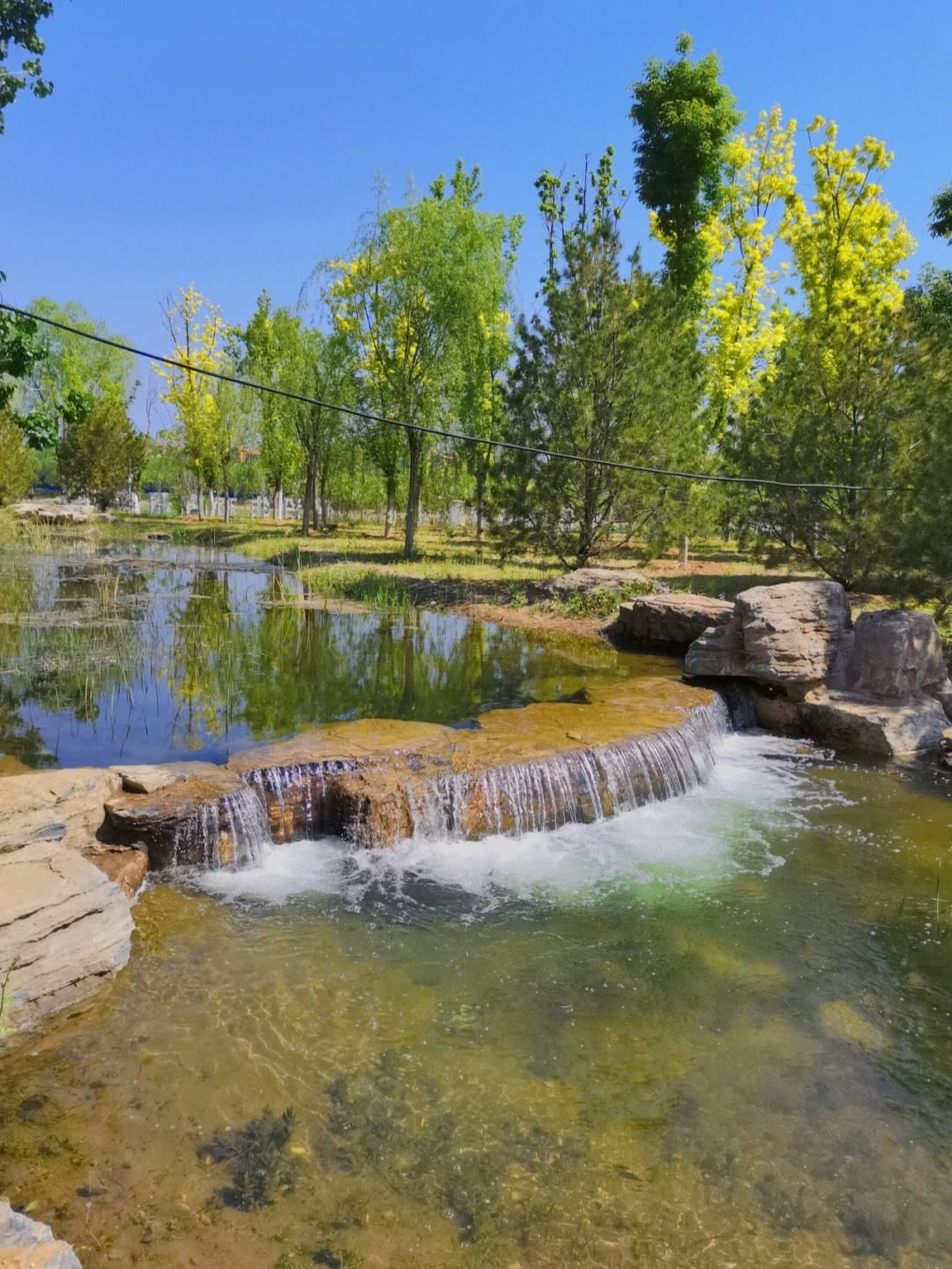 白河公园旅行图片 3