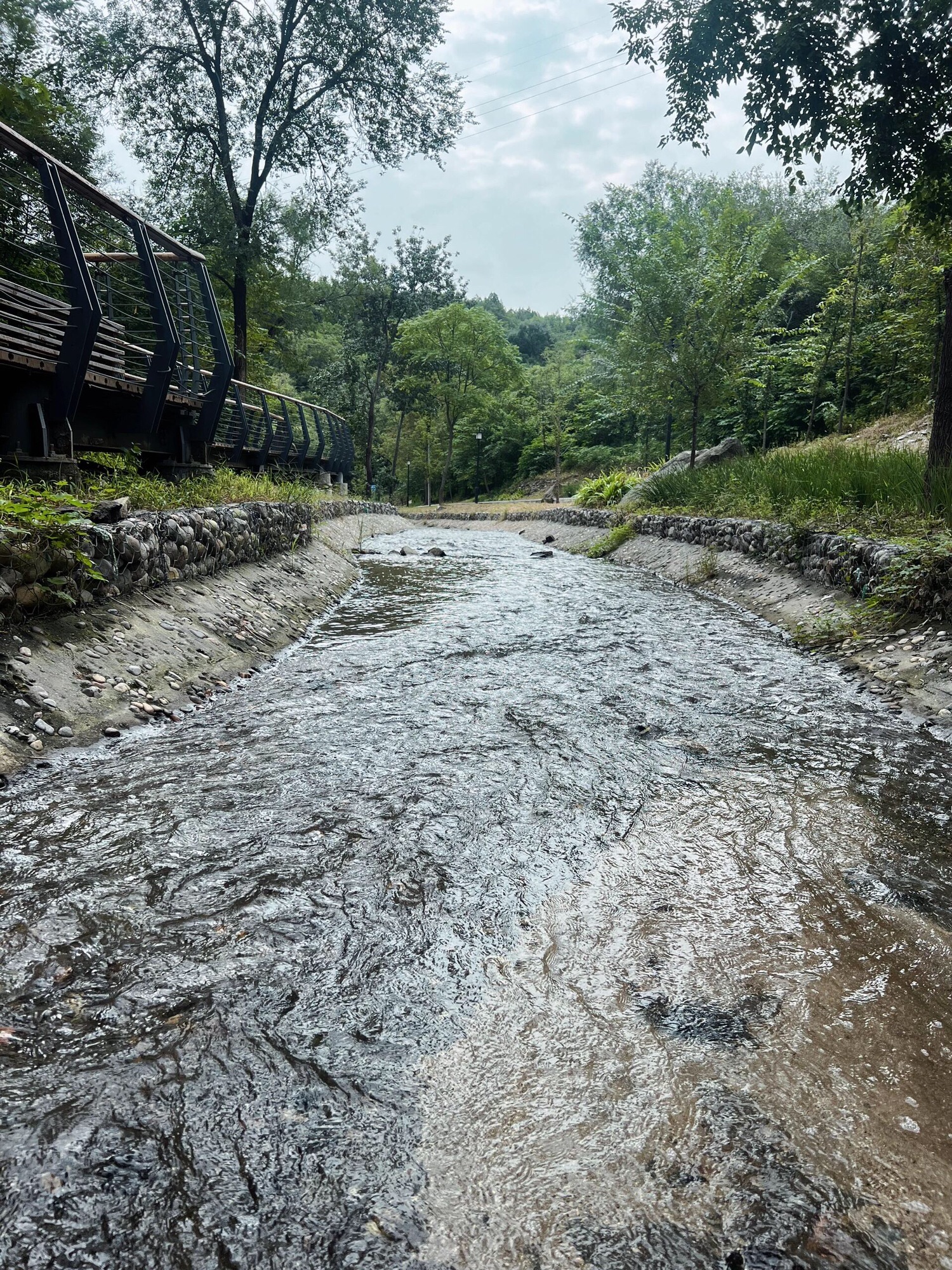 白水寺森林公园旅行图片 1