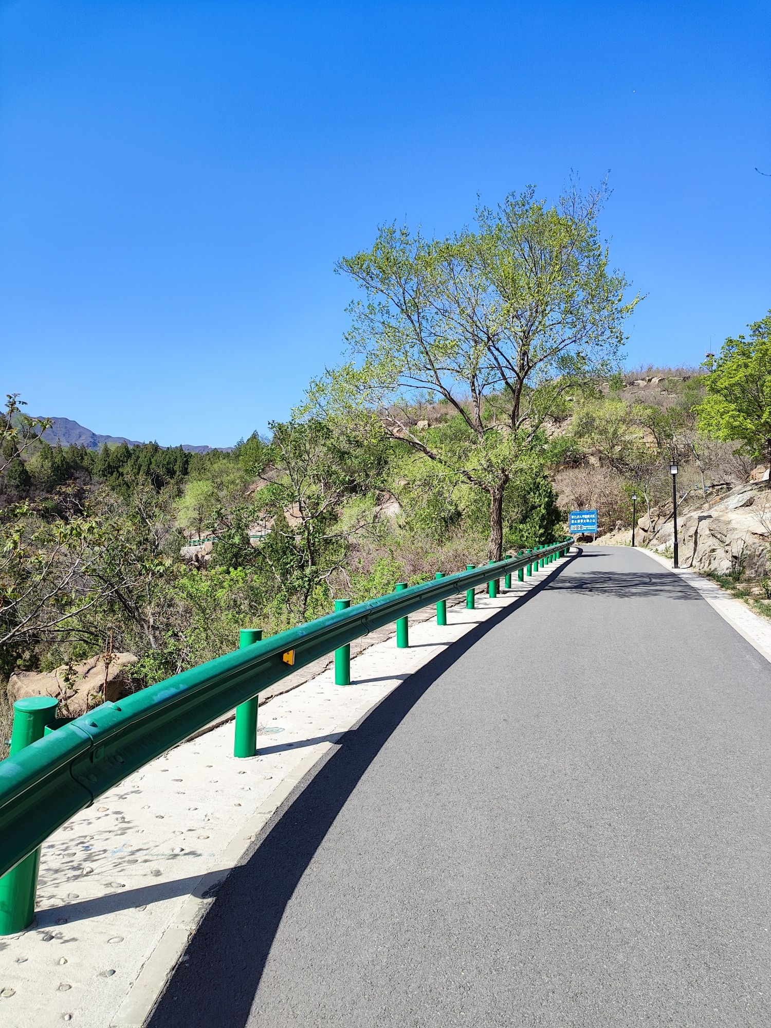 白水寺森林公园旅行图片 2